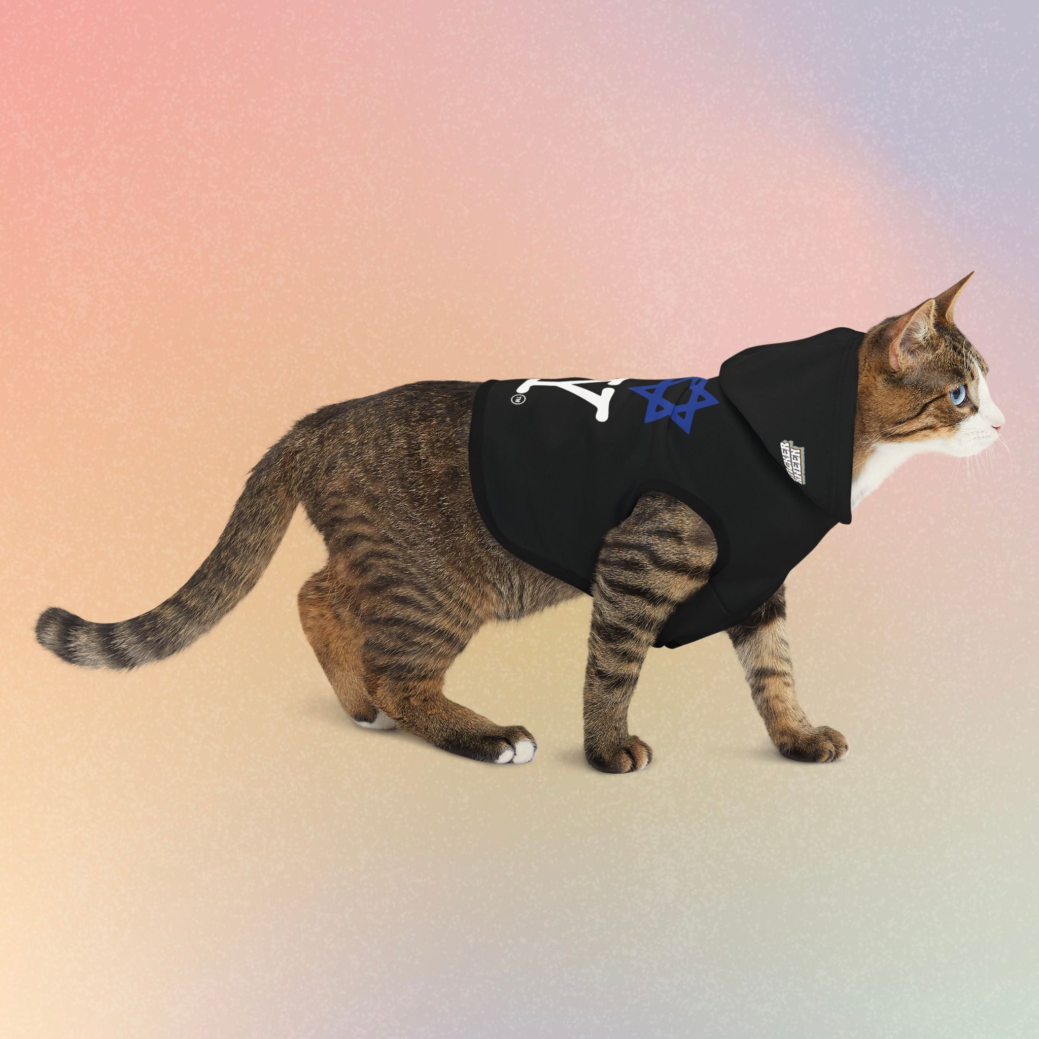 I Love NY Jewish Star (BLACK) Pet Hoodie | Jewish Pride Dog Hoodie