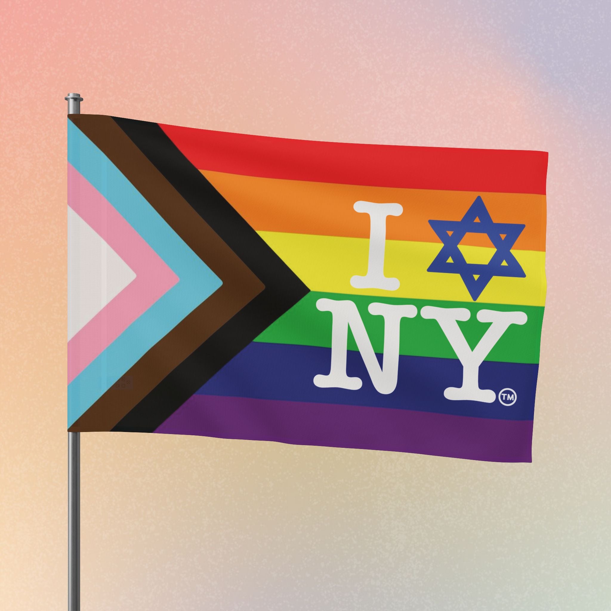 LGBTQIA I Love NY Jewish Star Flag