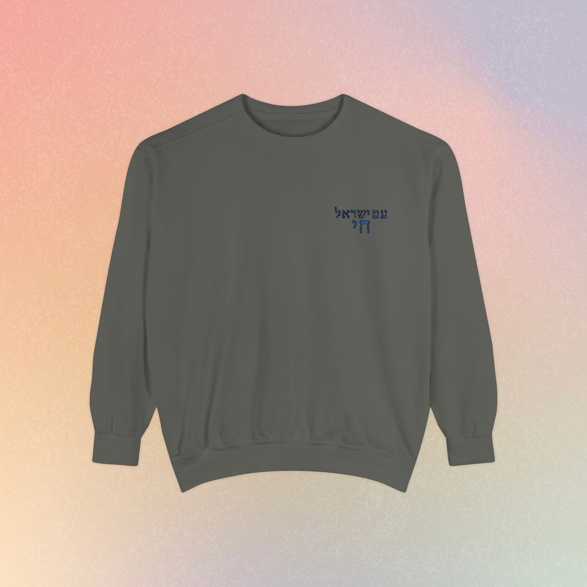 Am Yisrael Chai עם ישראל חי Hebrew Embroidered Sweatshirt