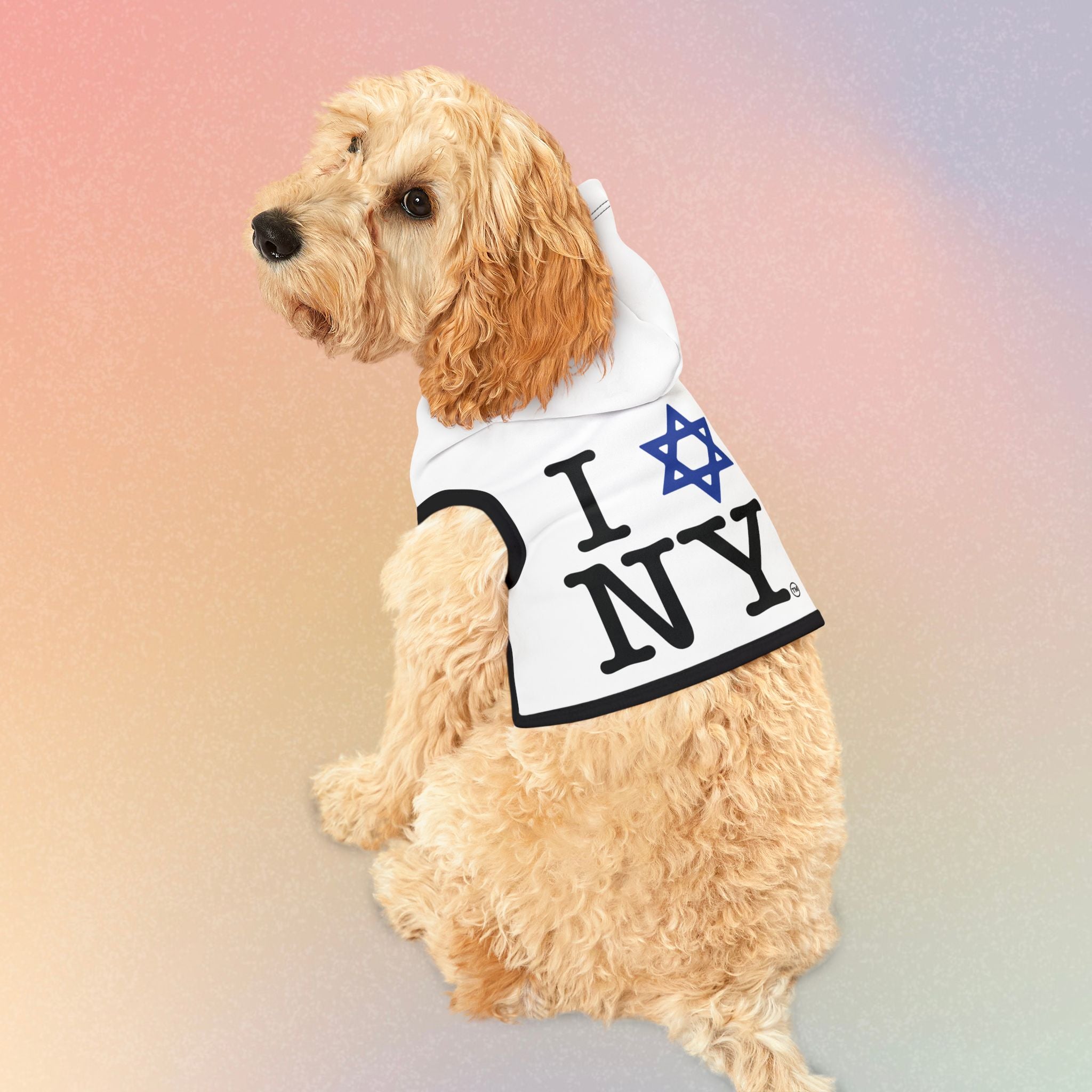 Pet Hoodie — I Love NY Jewish Star (WHITE) Cute Dog & Cat Hooded Sweatshirt