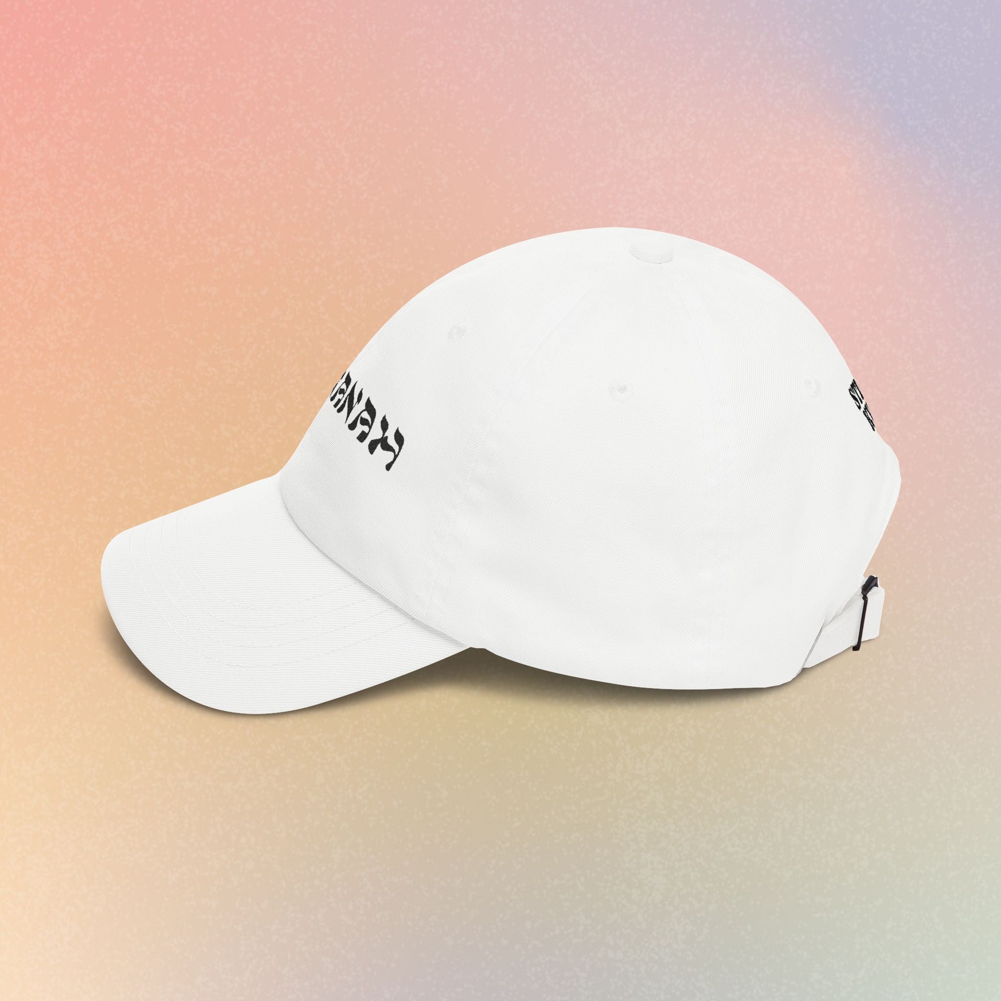 Raananah Park | 10930 | Embroidered Baseball Hat *Light Colors*