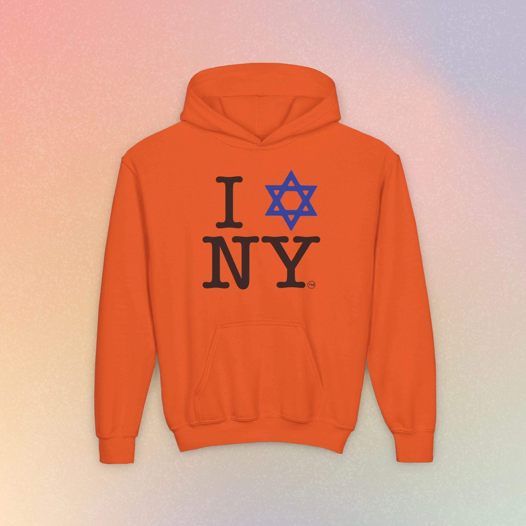 Youth Size I Love NY Jewish Star Hoodie | Jewish New York Pride Sweatshirt