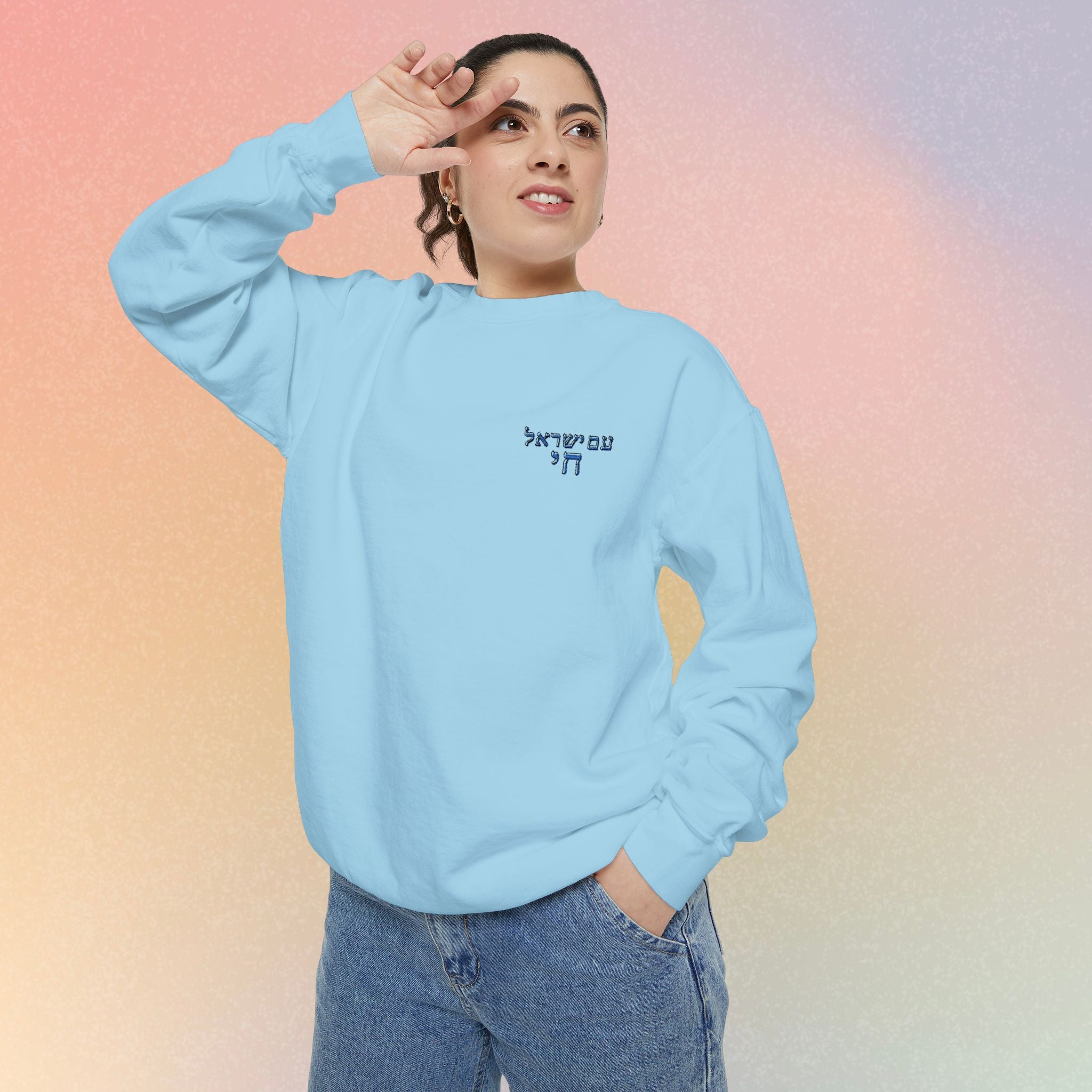 Am Yisrael Chai עם ישראל חי Hebrew Embroidered Sweatshirt