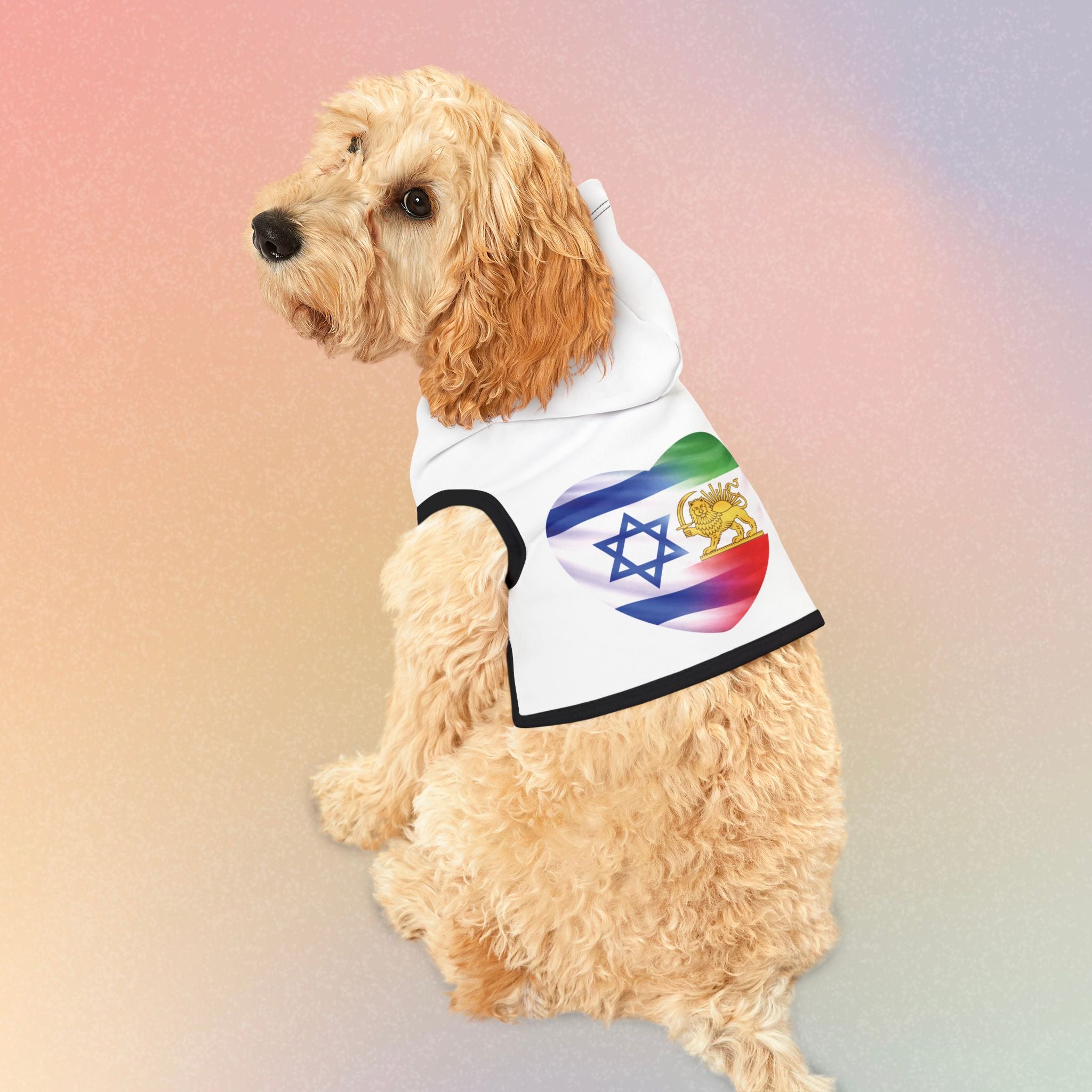 Persian Israeli Flag Flag Heart Pet Hoodie (Jewish/Persian Pride)