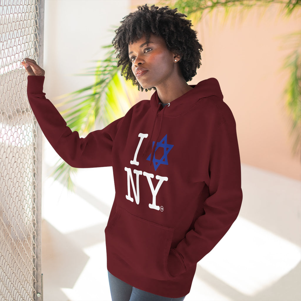I Love NY Jewish Star Hoodie | Jewish New York Pride