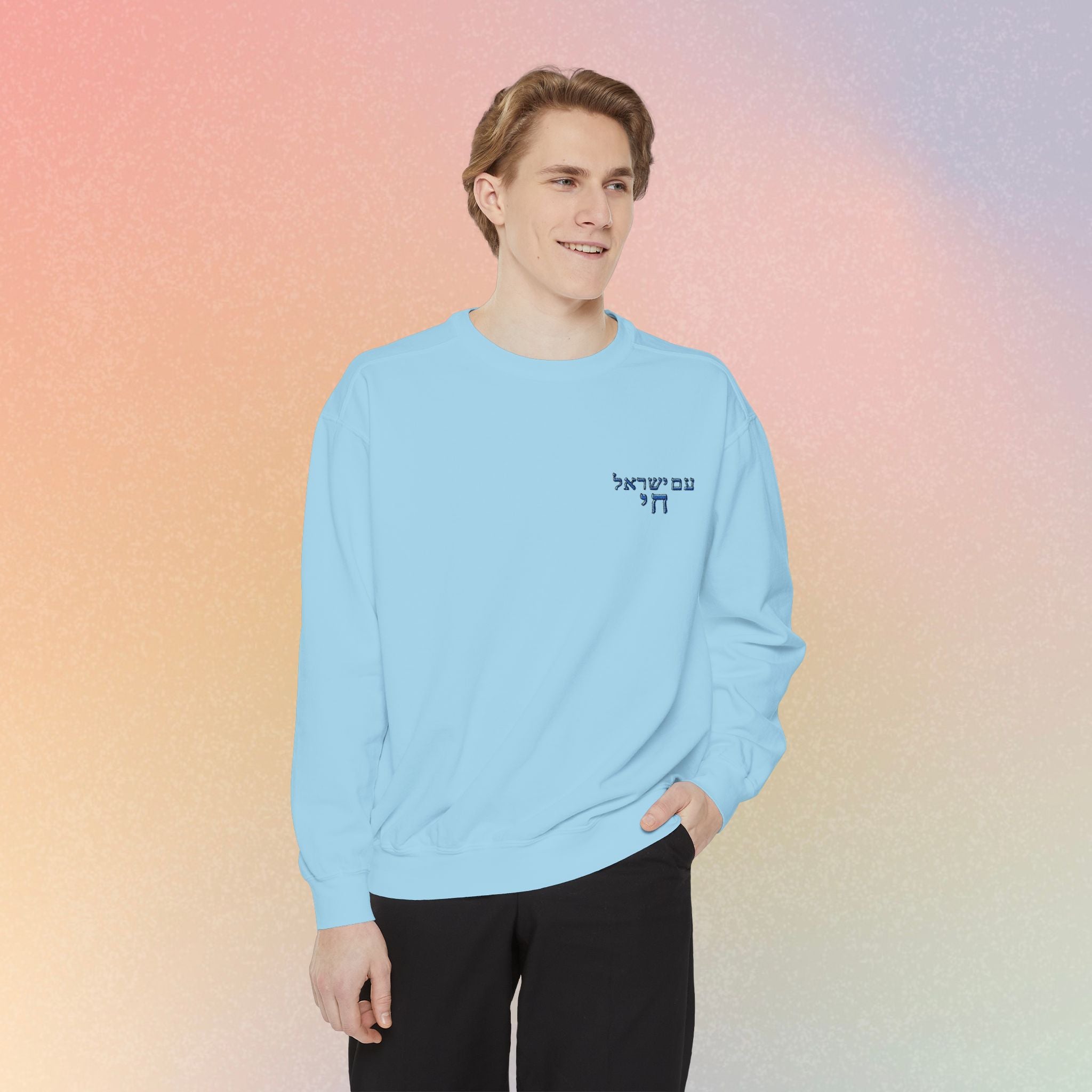 Am Yisrael Chai עם ישראל חי Hebrew Embroidered Sweatshirt