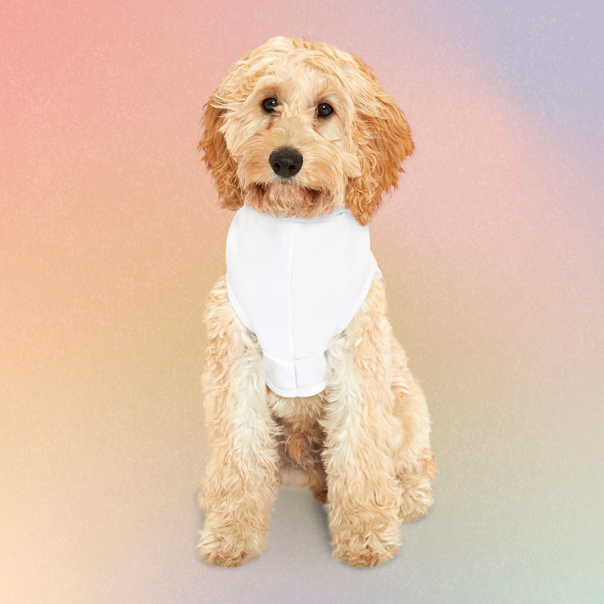 Persian Israeli Flag Flag Heart Pet Hoodie (Jewish/Persian Pride)