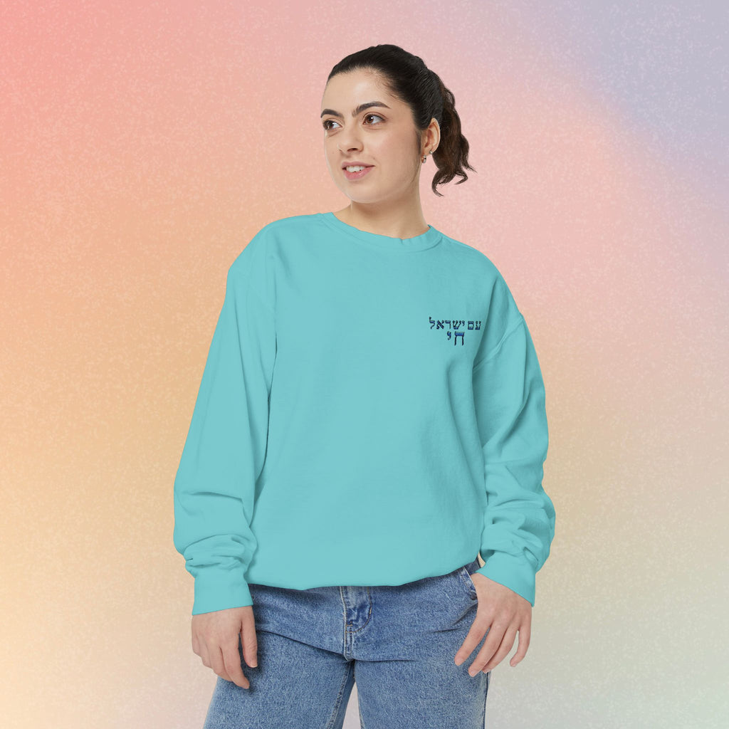 Am Yisrael Chai עם ישראל חי Hebrew Embroidered Sweatshirt