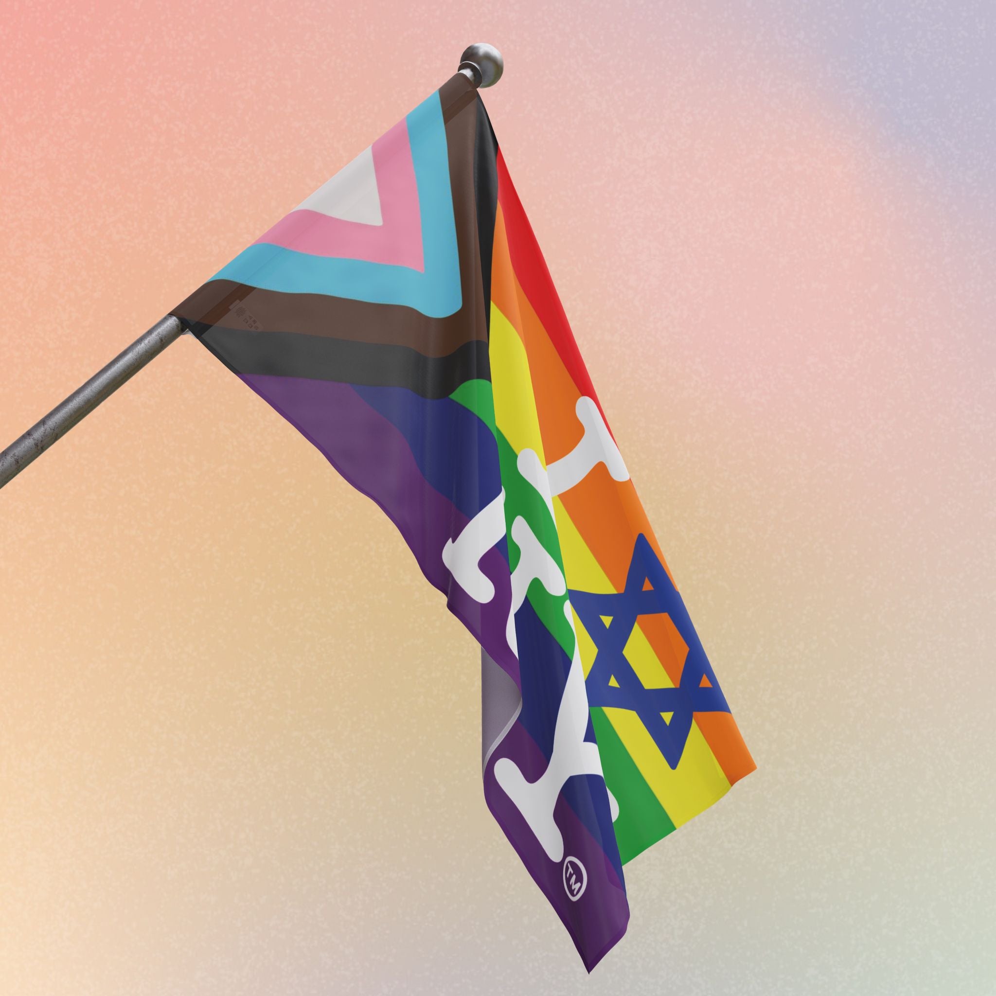 LGBTQIA I Love NY Jewish Star Flag