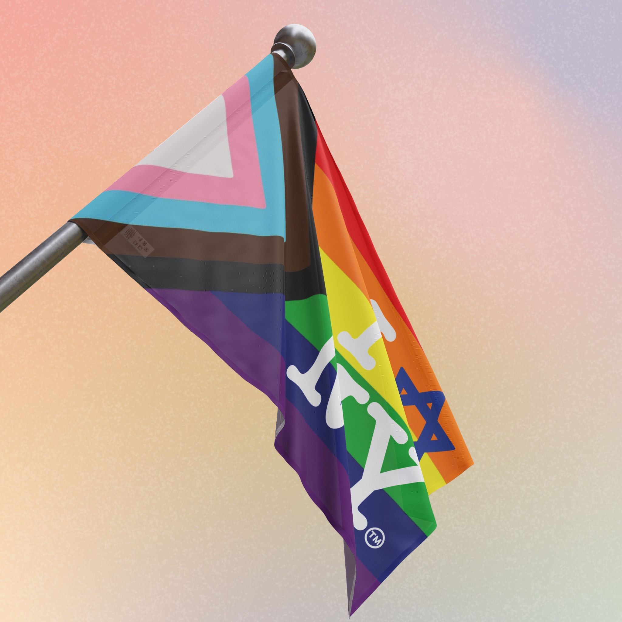 LGBTQIA I Love NY Jewish Star Flag