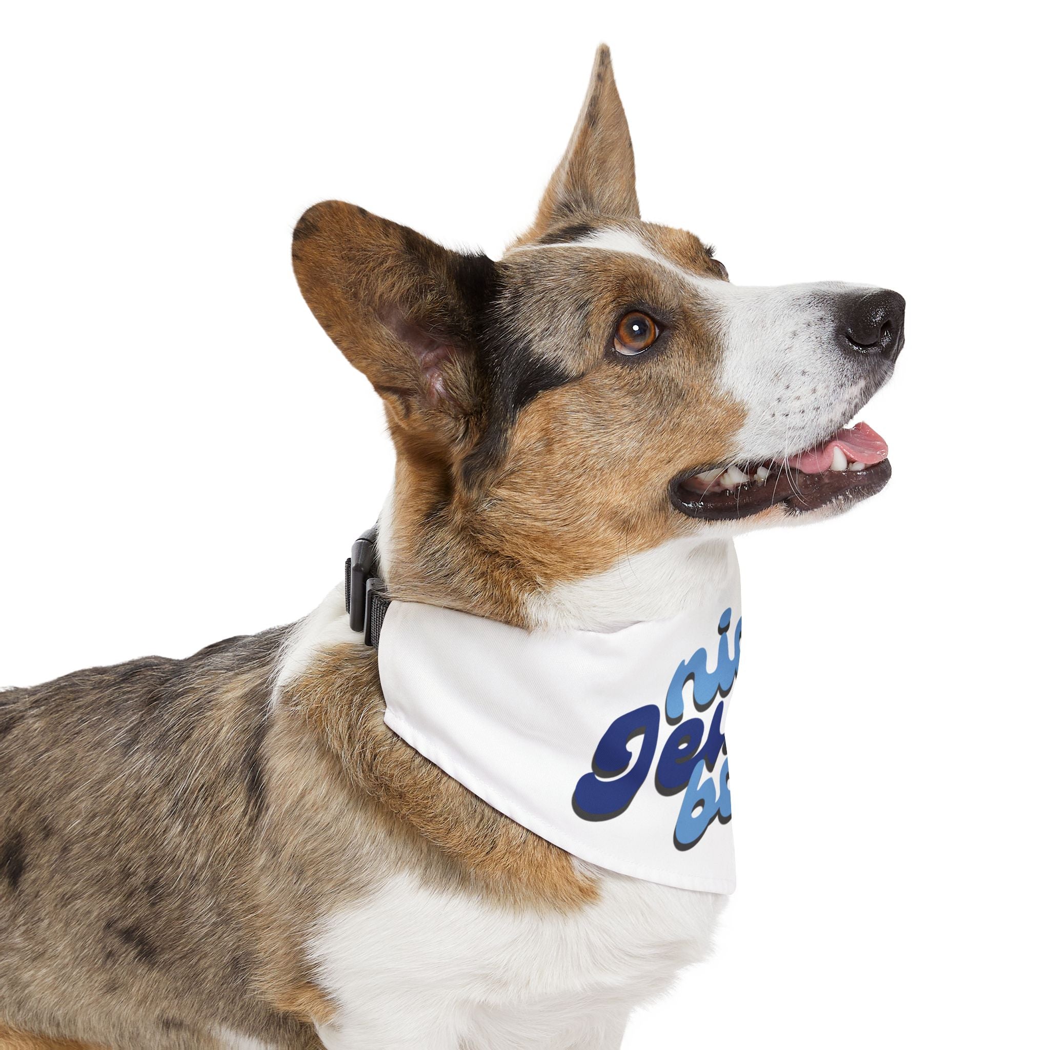Nice Jewish Boy Pet Bandana Collar - Nice Jewish Dog/Cat
