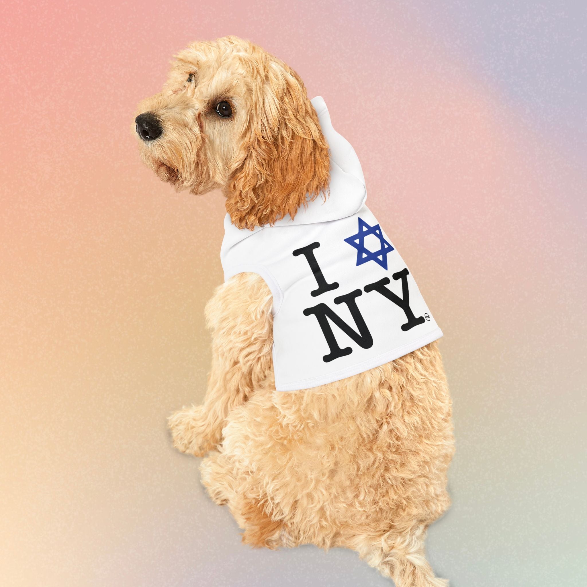 Pet Hoodie — I Love NY Jewish Star (WHITE) Cute Dog & Cat Hooded Sweatshirt