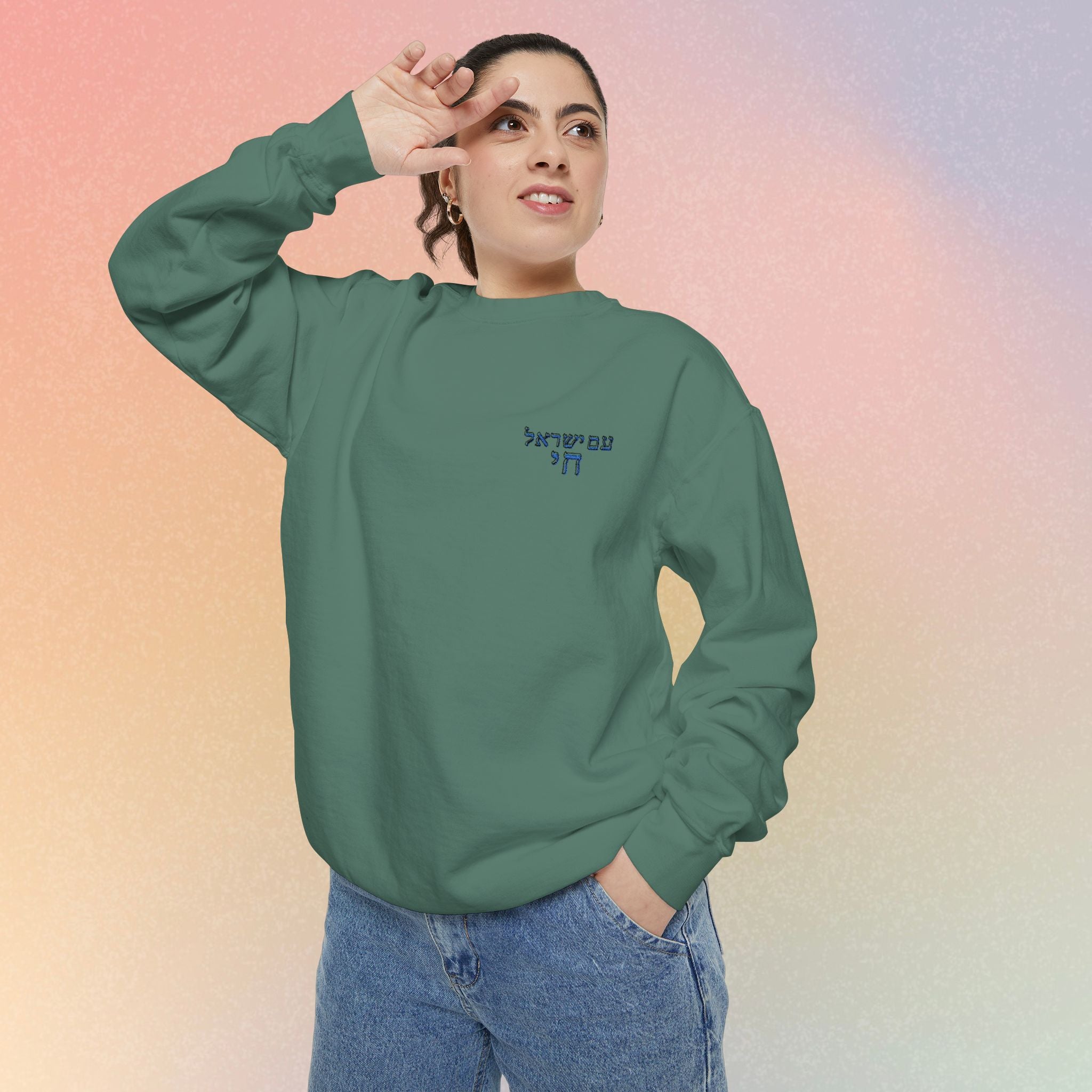 Am Yisrael Chai עם ישראל חי Hebrew Embroidered Sweatshirt