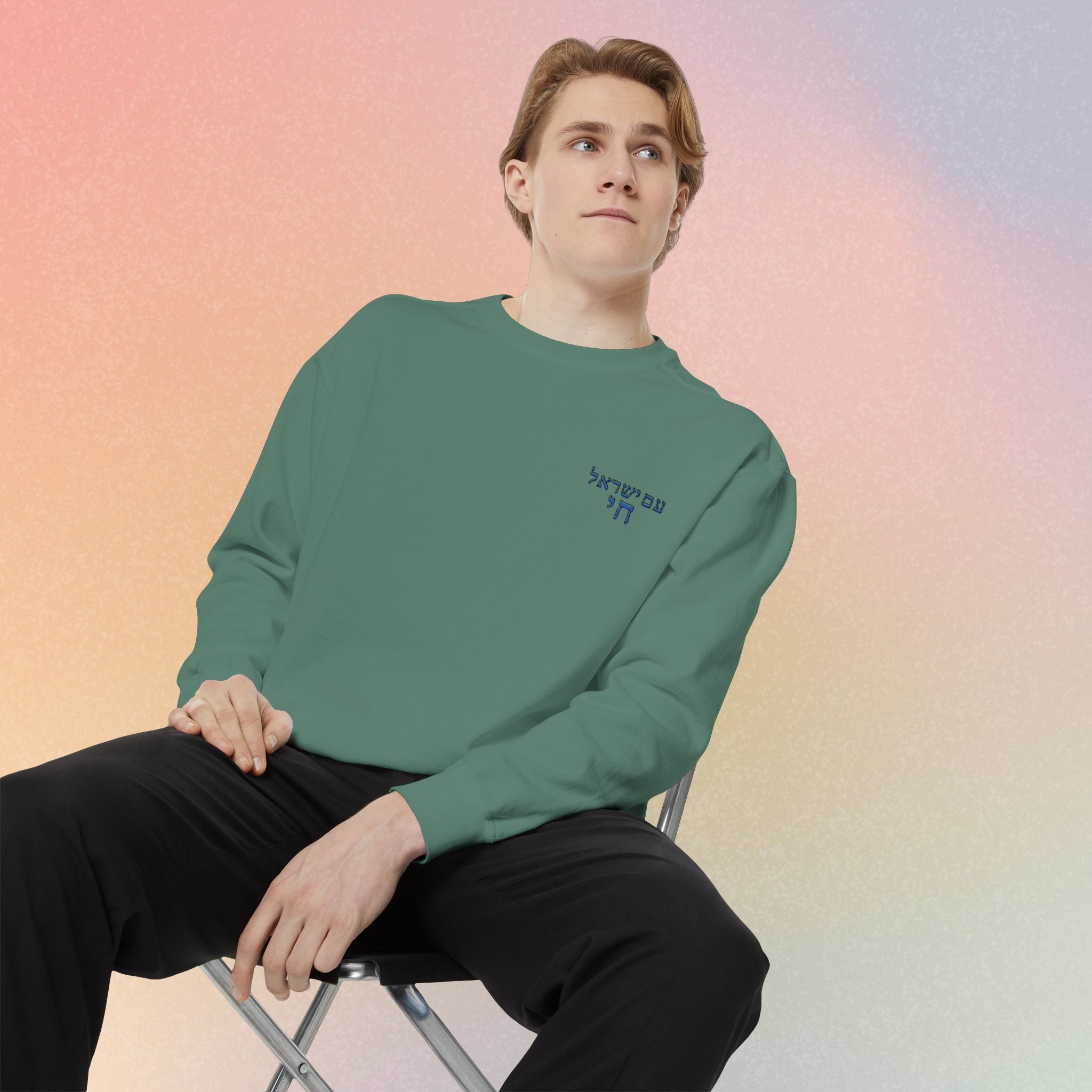 Am Yisrael Chai עם ישראל חי Hebrew Embroidered Sweatshirt