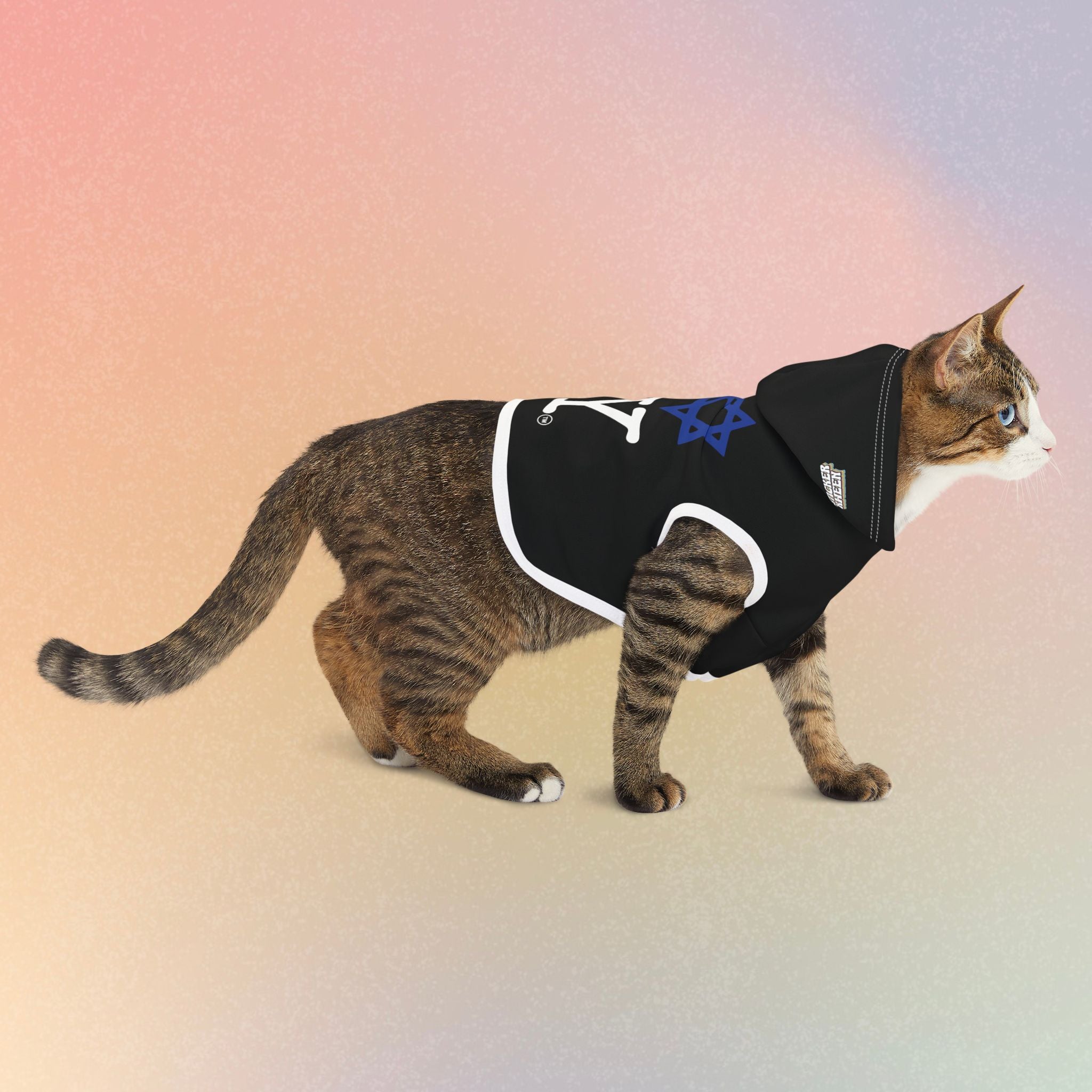 I Love NY Jewish Star (BLACK) Pet Hoodie | Jewish Pride Dog Hoodie