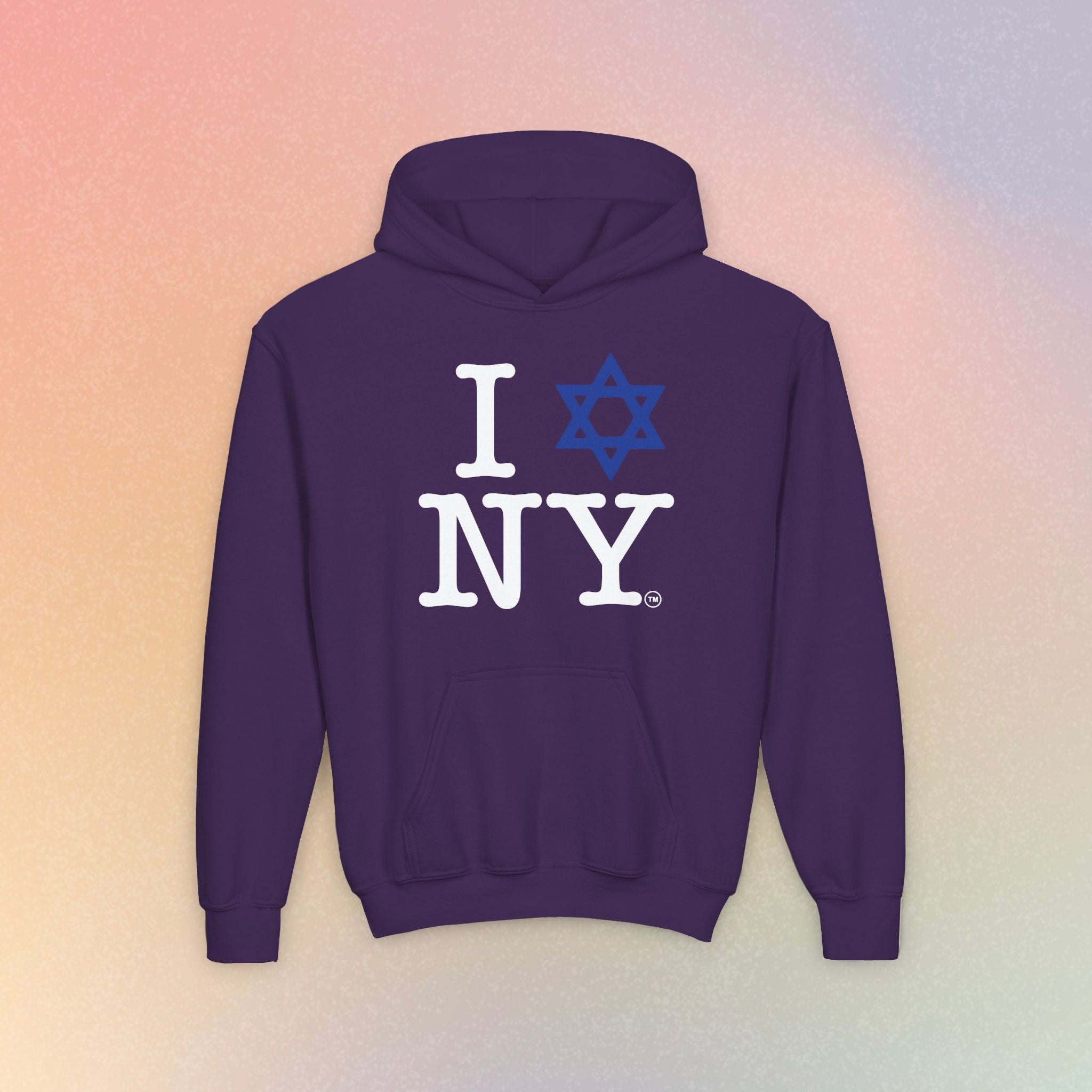 Youth Size I Love NY Jewish Star Hoodie | Jewish New York Pride Sweatshirt