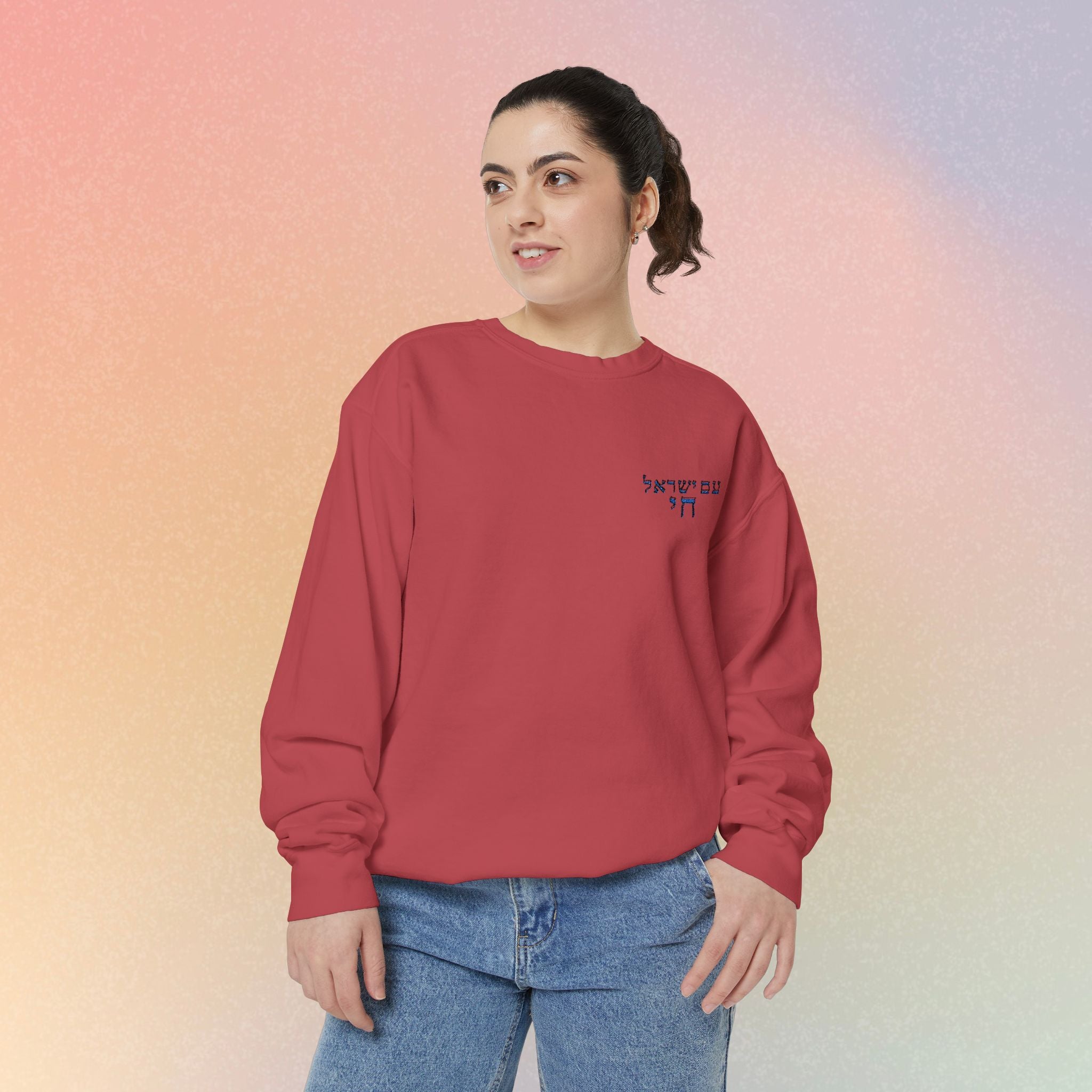 Am Yisrael Chai עם ישראל חי Hebrew Embroidered Sweatshirt