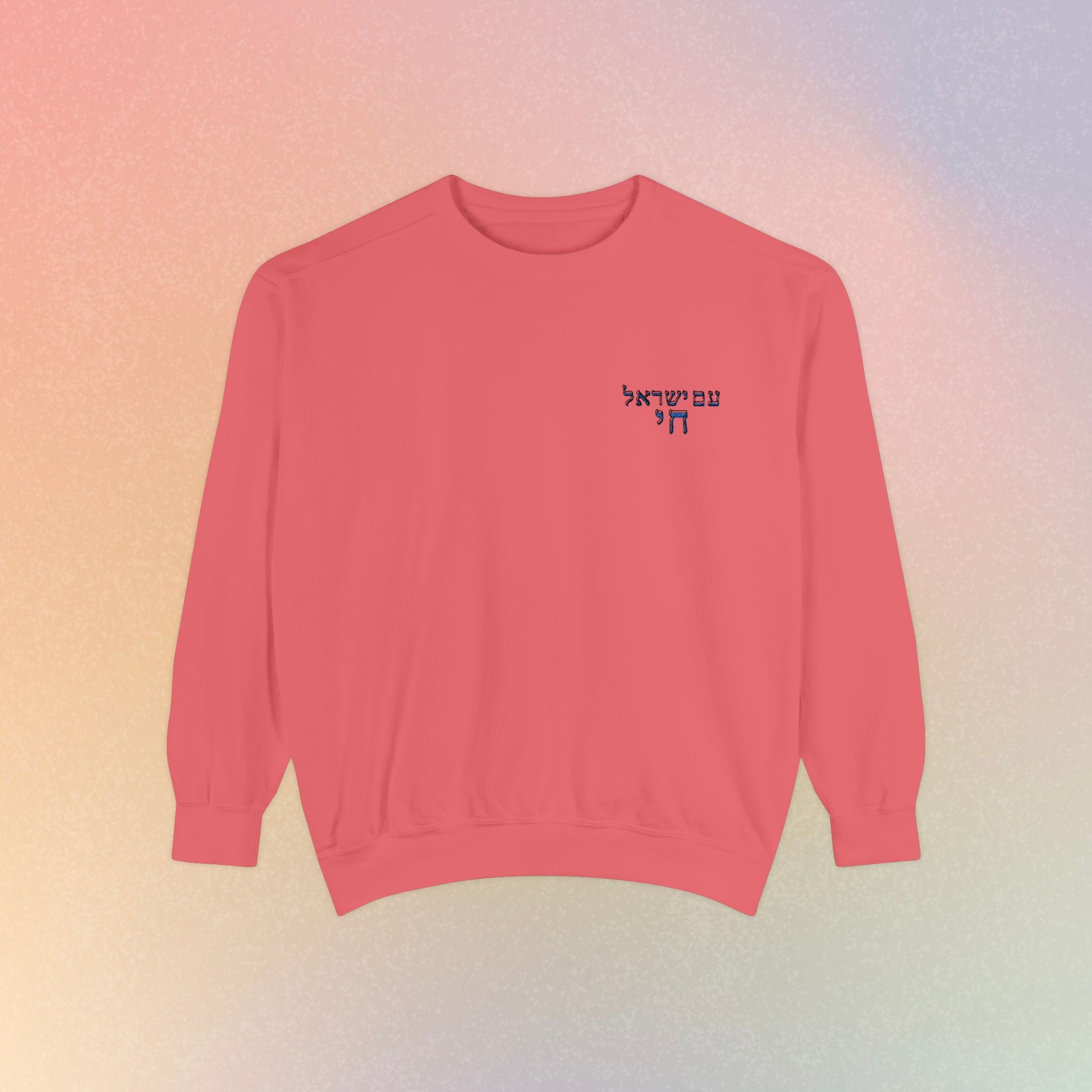 Am Yisrael Chai עם ישראל חי Hebrew Embroidered Sweatshirt