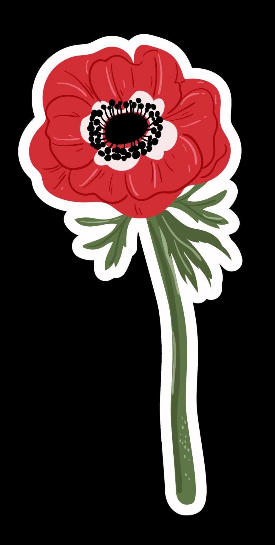 Anemone coronaria Flower Sticker 5-Pack