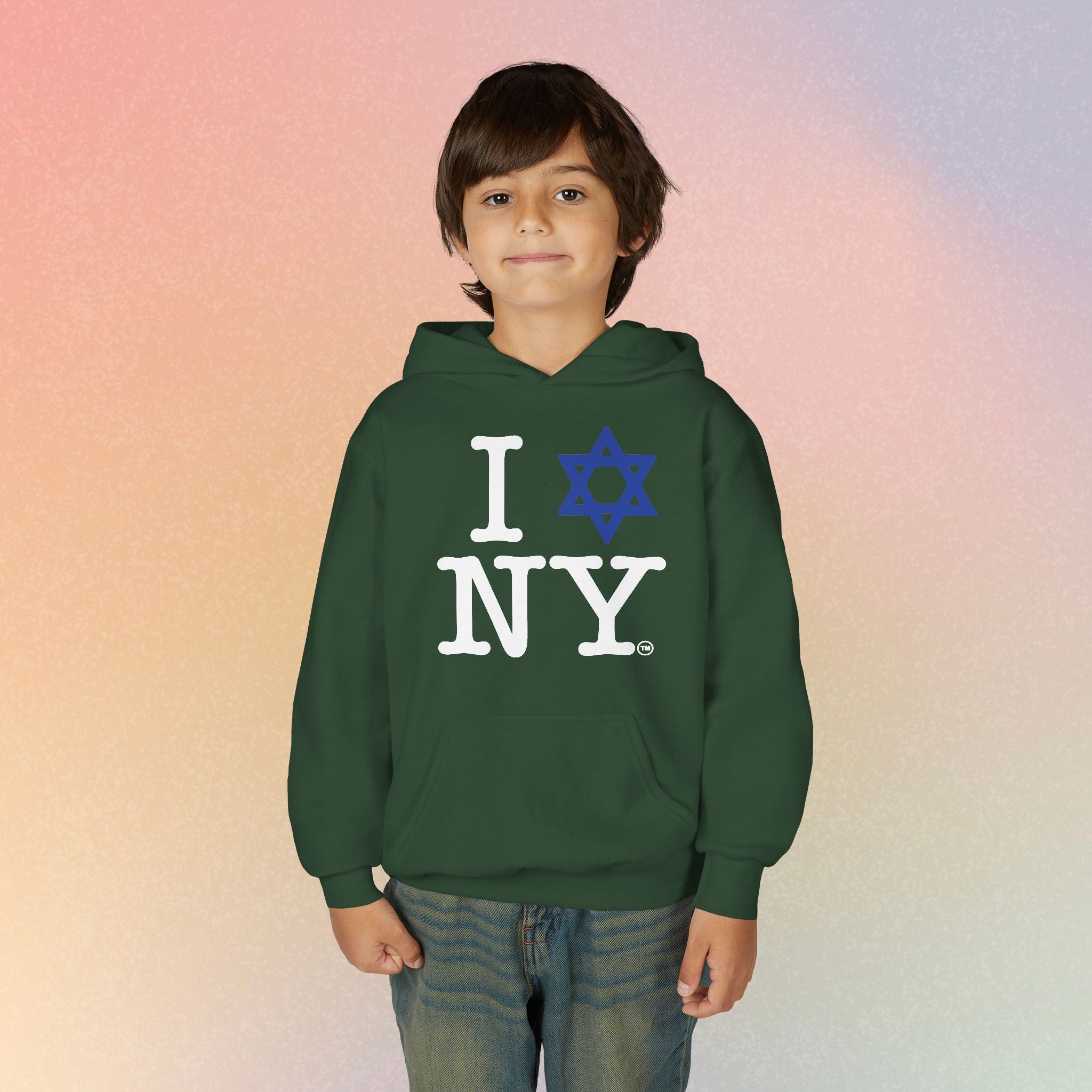 Youth Size I Love NY Jewish Star Hoodie | Jewish New York Pride Sweatshirt