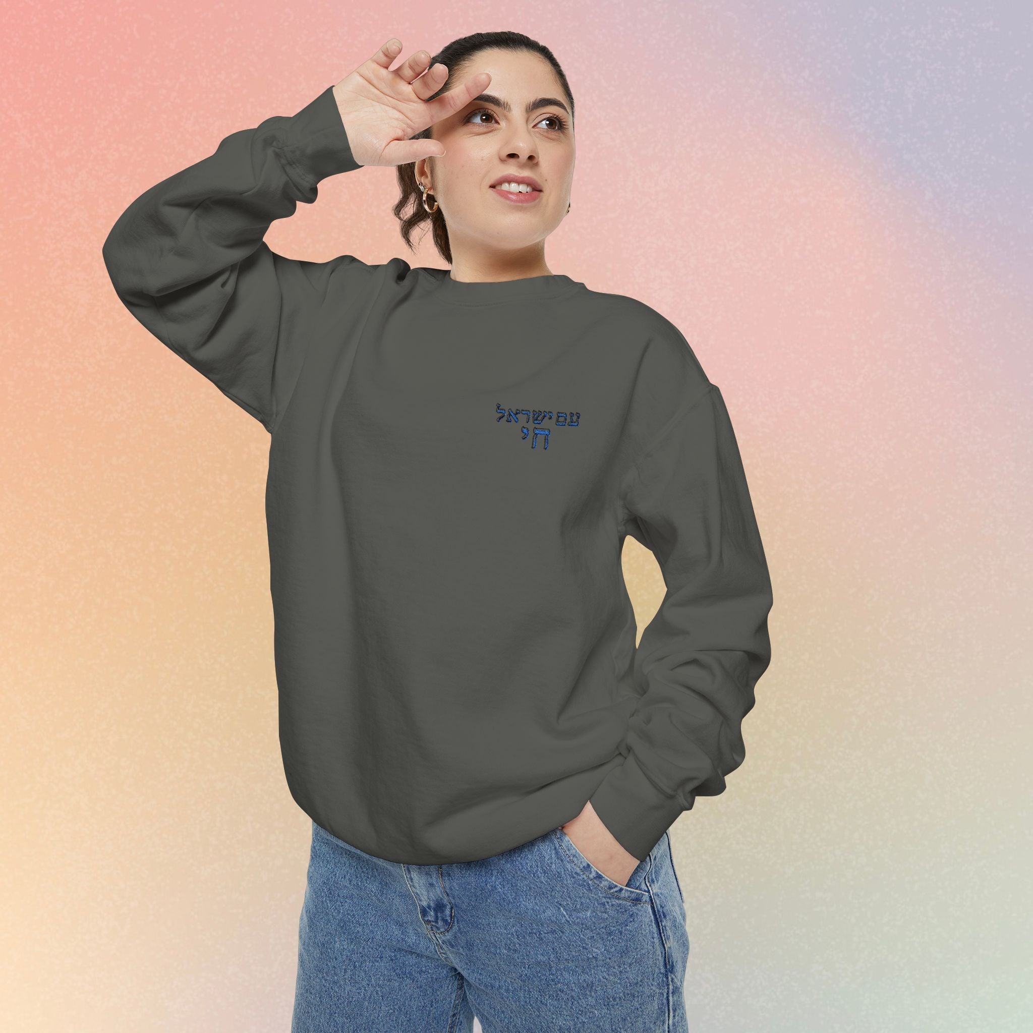 Am Yisrael Chai עם ישראל חי Hebrew Embroidered Sweatshirt