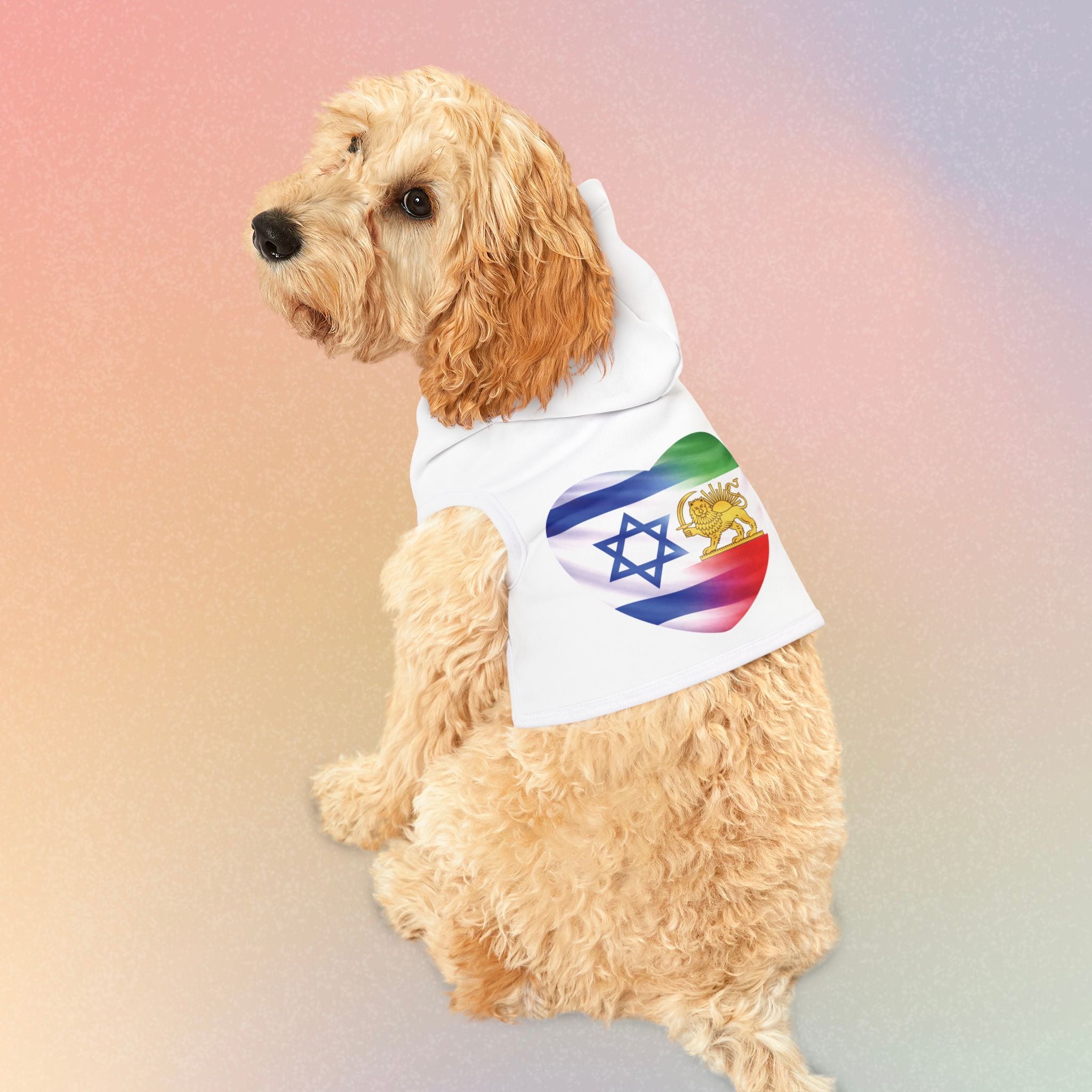 Persian Israeli Flag Flag Heart Pet Hoodie (Jewish/Persian Pride)