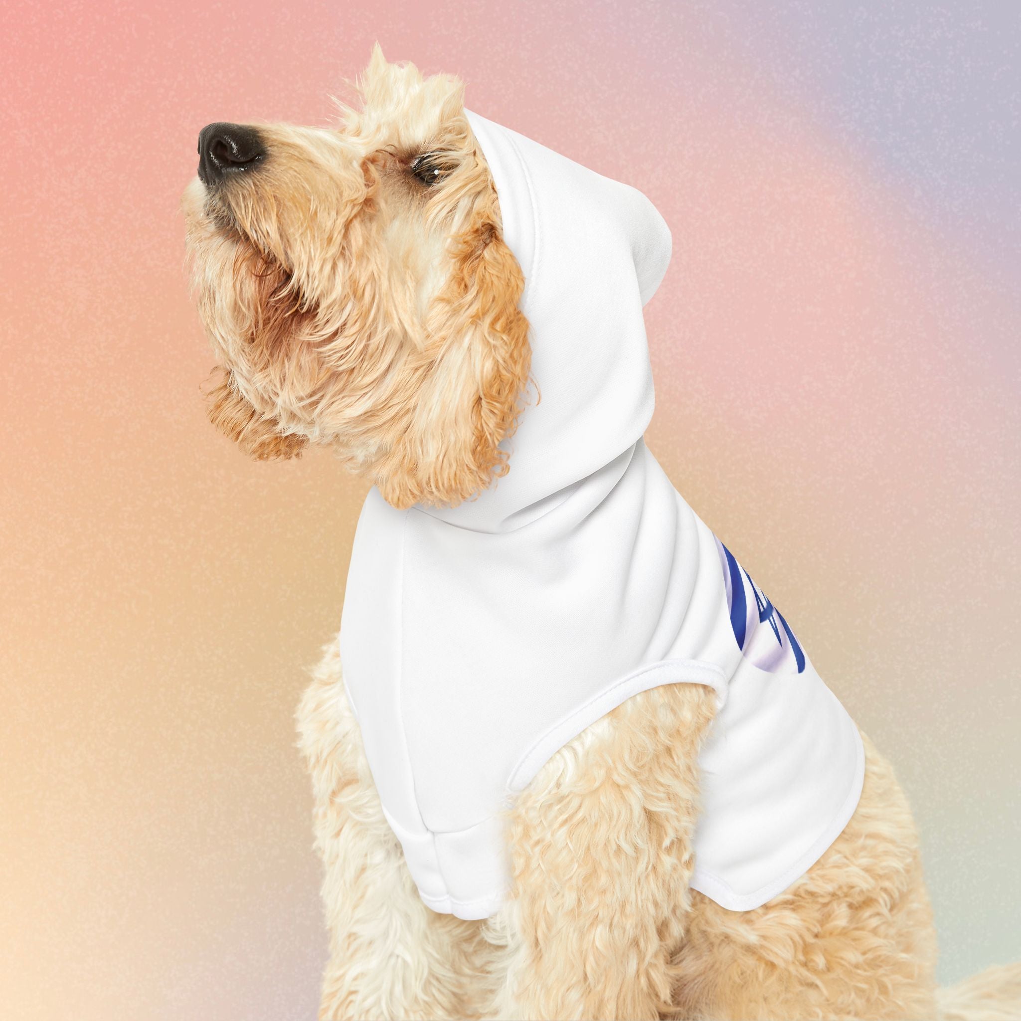 Persian Israeli Flag Flag Heart Pet Hoodie (Jewish/Persian Pride)