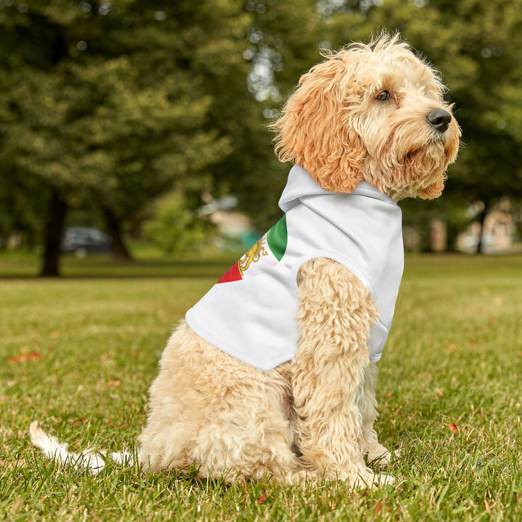 Persian Israeli Flag Flag Heart Pet Hoodie (Jewish/Persian Pride)