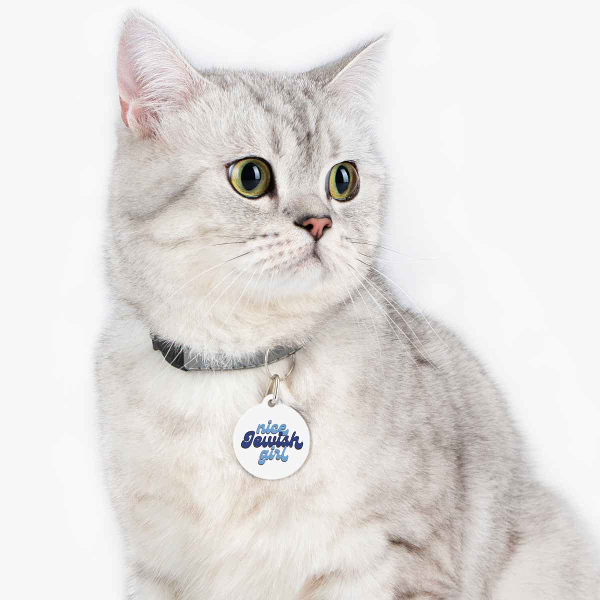 Nice Jewish Girl Pet Tag