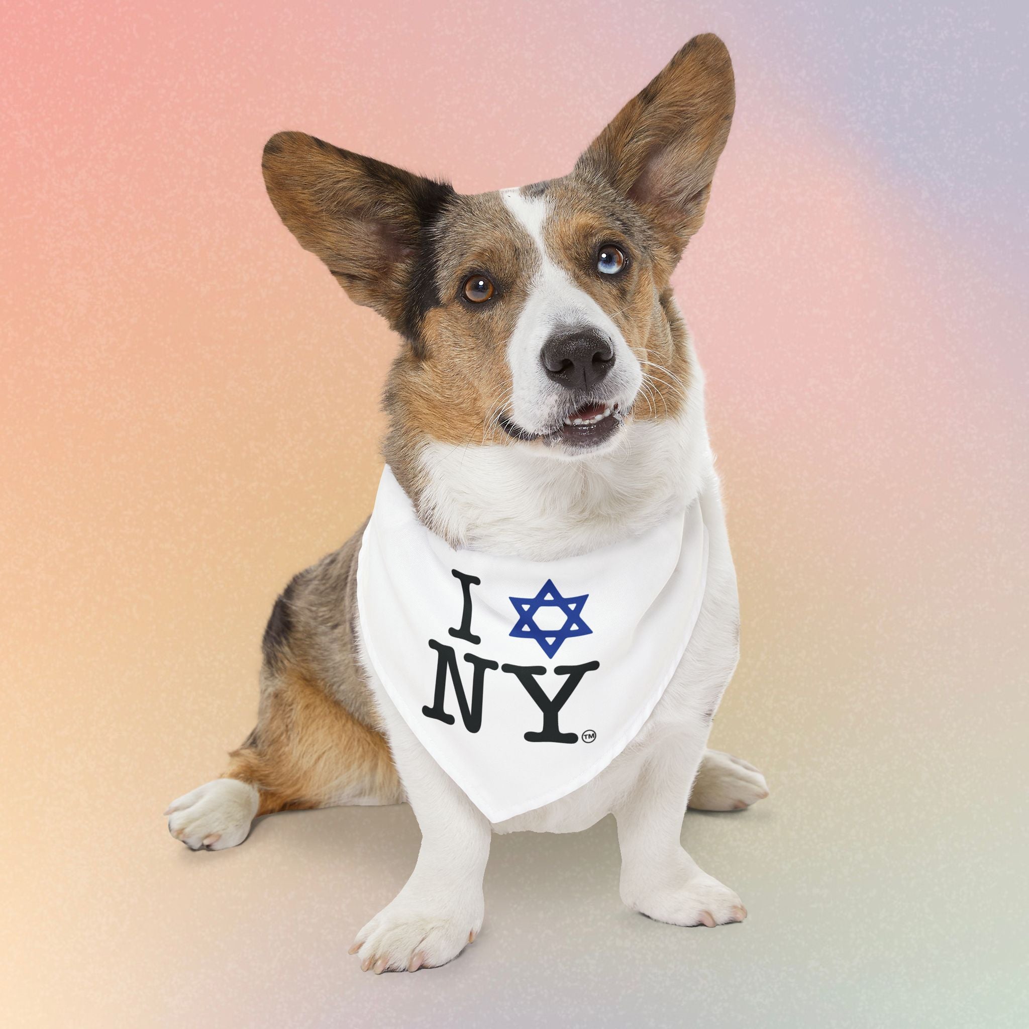 I LOVE NY Jewish Star (WHITE) Pet Bandana Collar Dog/Cat