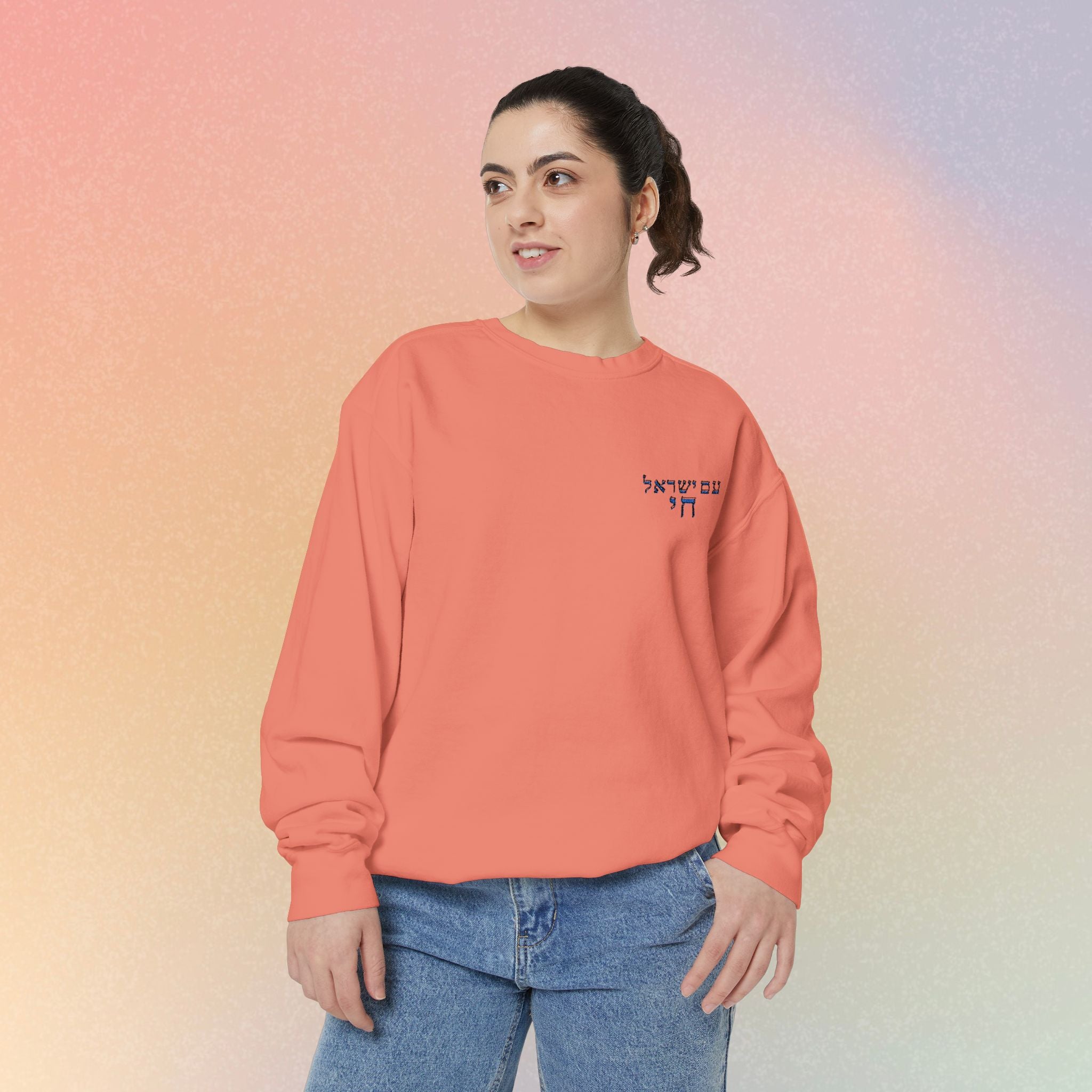 Am Yisrael Chai עם ישראל חי Hebrew Embroidered Sweatshirt