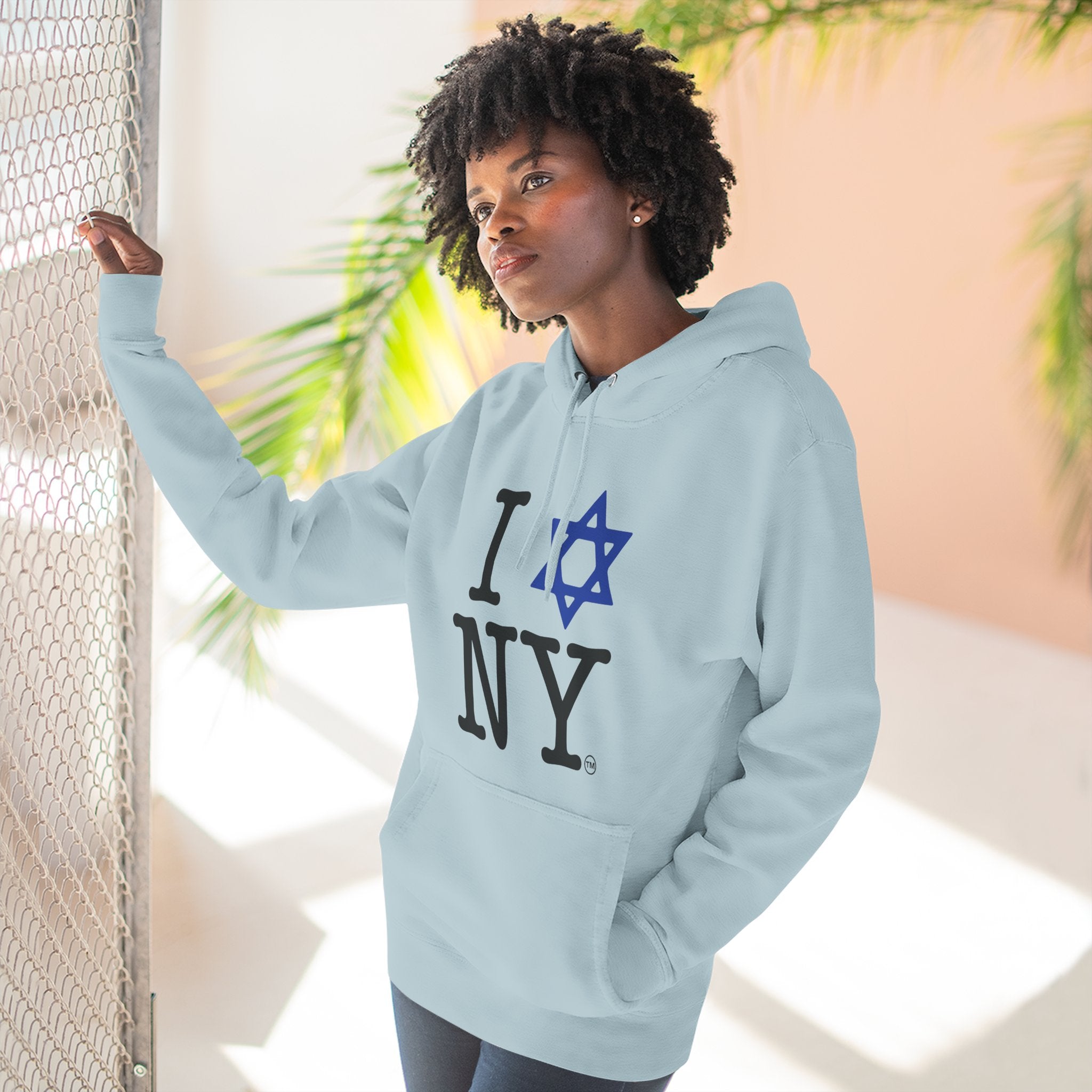 I Love NY Jewish Star Hoodie | Jewish New York Pride