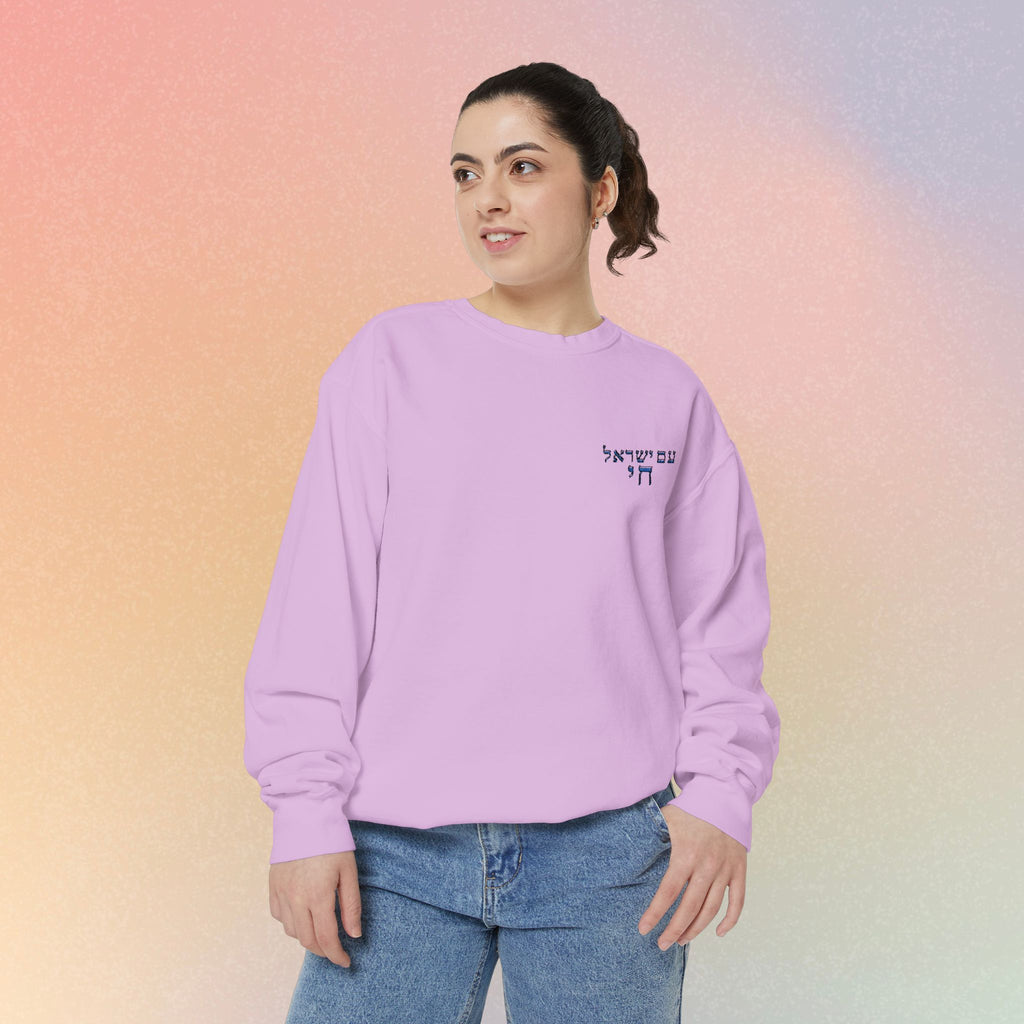 Am Yisrael Chai עם ישראל חי Hebrew Embroidered Sweatshirt