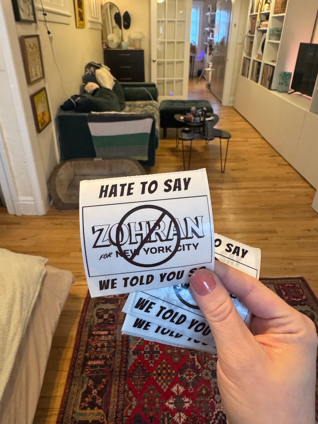 HATE TO SAY WE TOLD YOU SO (Zohran Mamdani) (100pc) Holographic & Clear Thermal Stickers