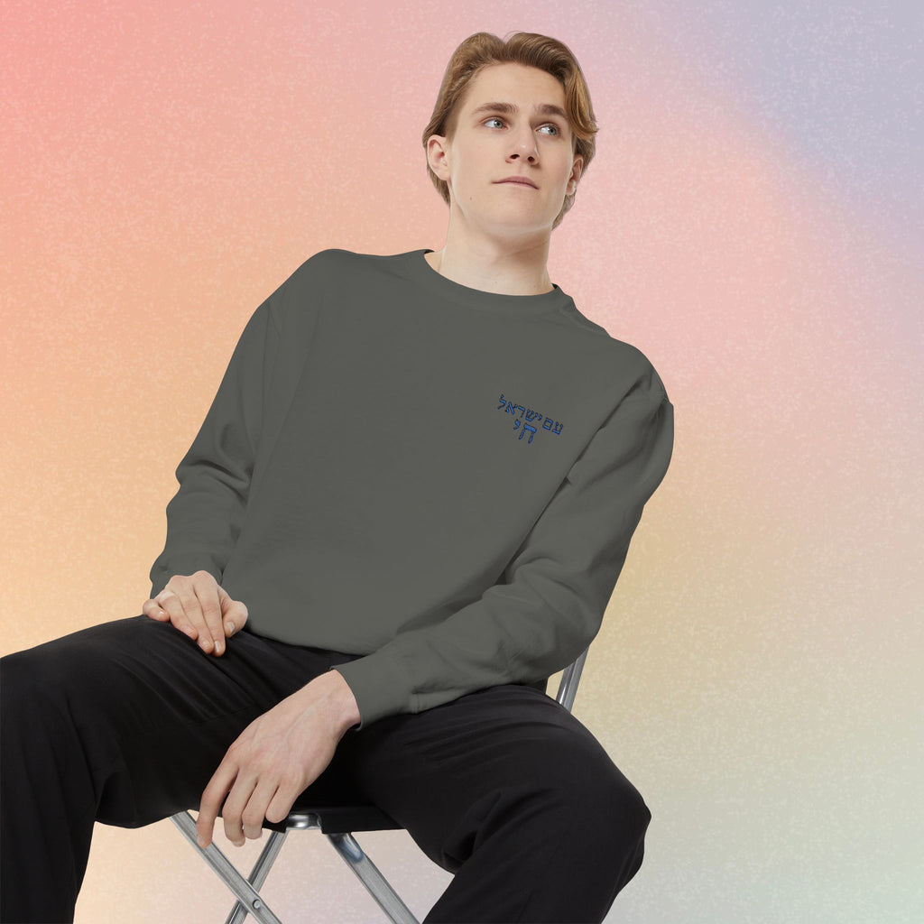 Am Yisrael Chai עם ישראל חי Hebrew Embroidered Sweatshirt