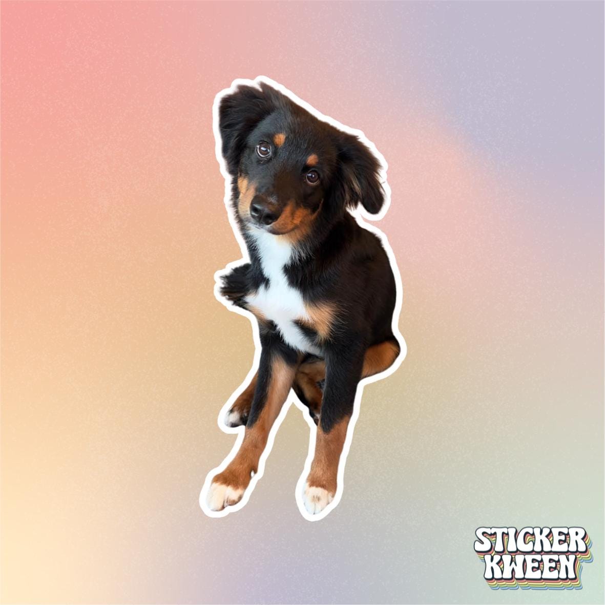 Custom Pet Stickers