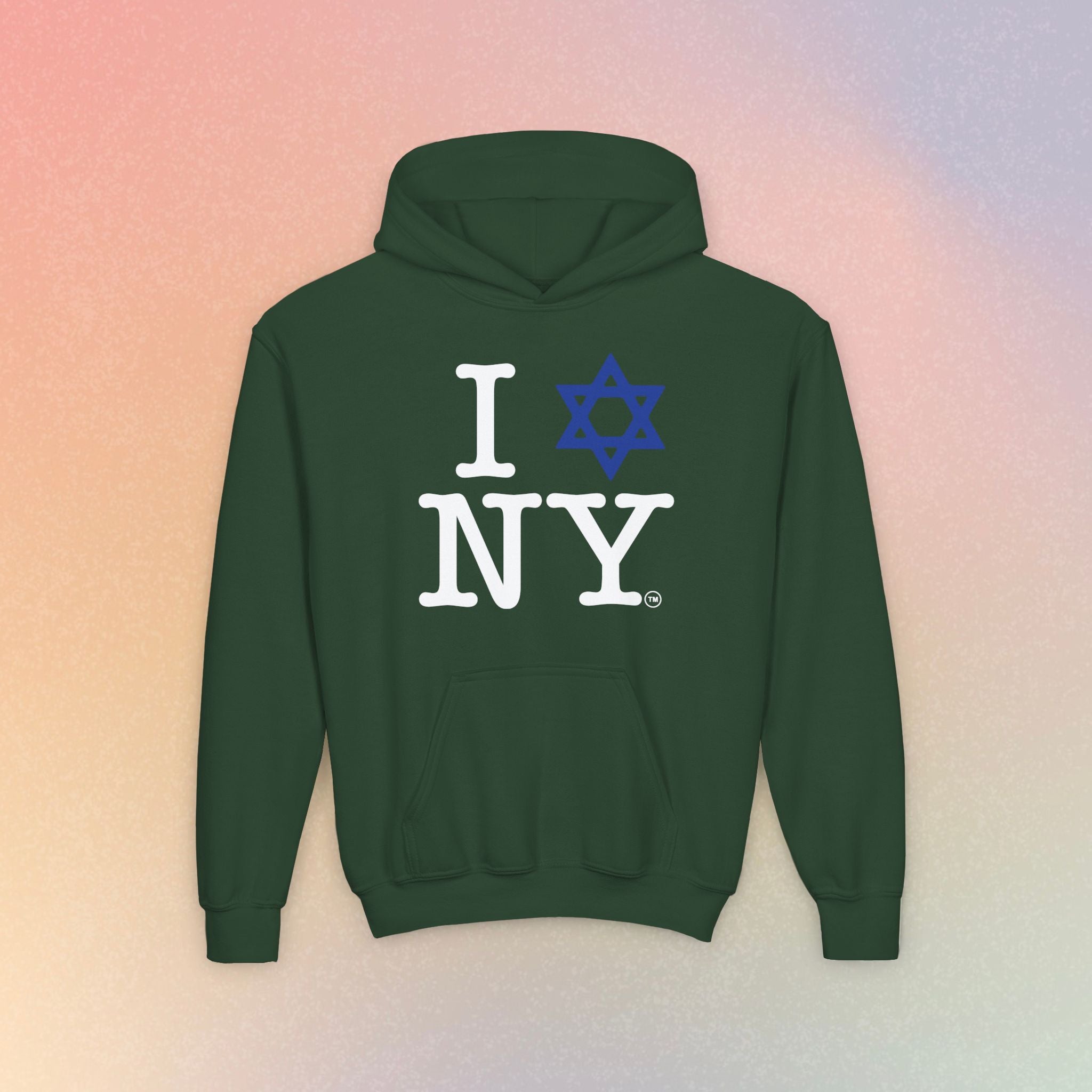 Youth Size I Love NY Jewish Star Hoodie | Jewish New York Pride Sweatshirt