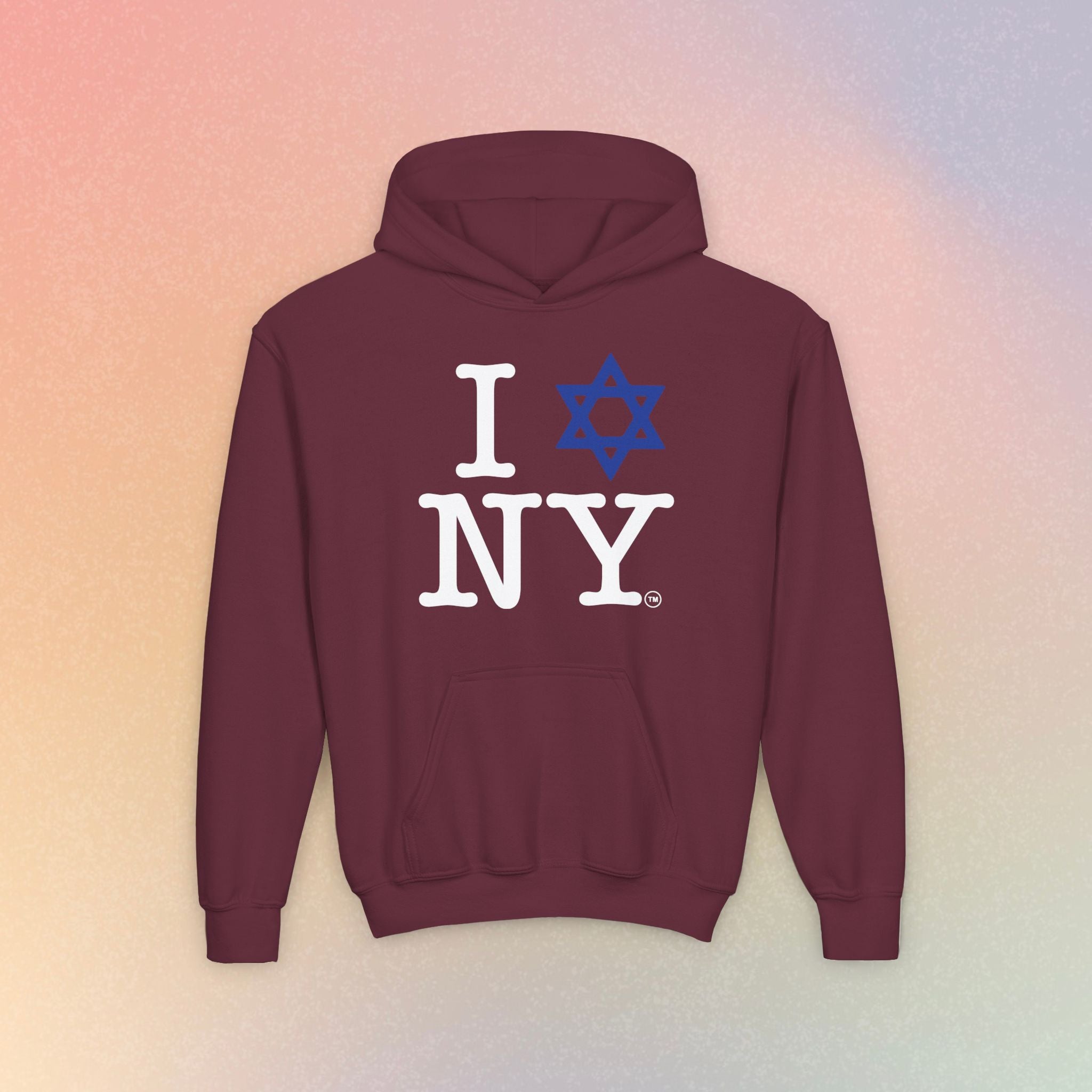 Youth Size I Love NY Jewish Star Hoodie | Jewish New York Pride Sweatshirt