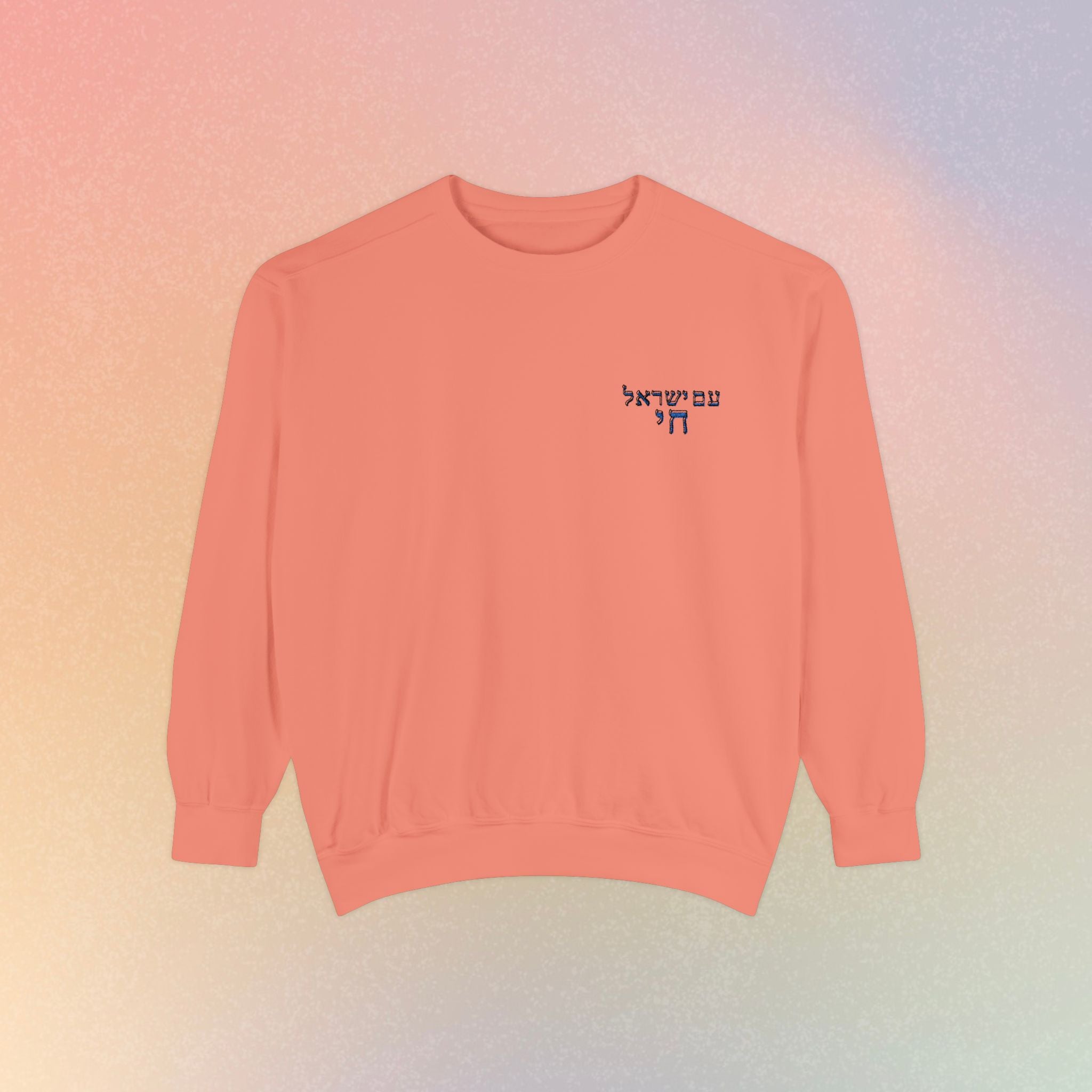 Am Yisrael Chai עם ישראל חי Hebrew Embroidered Sweatshirt