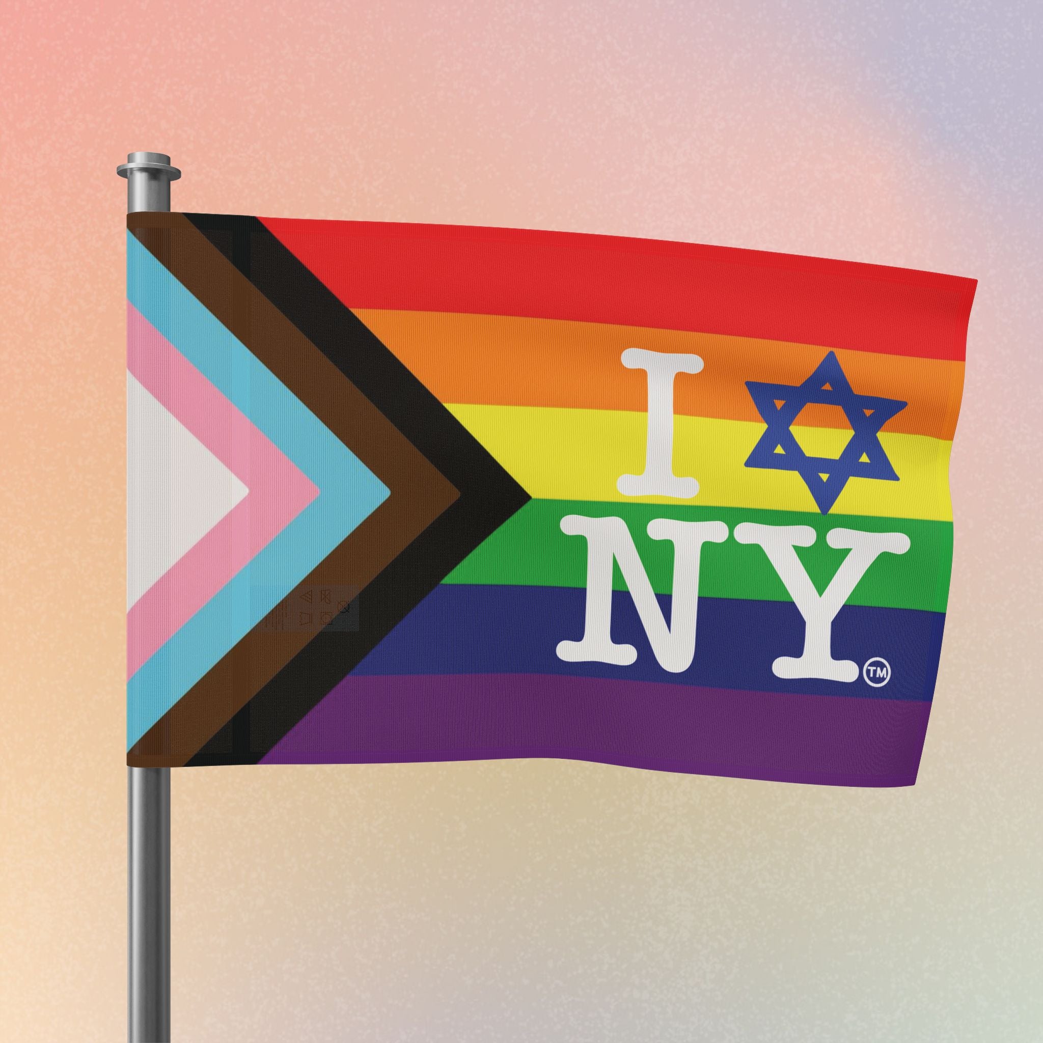 LGBTQIA I Love NY Jewish Star Flag