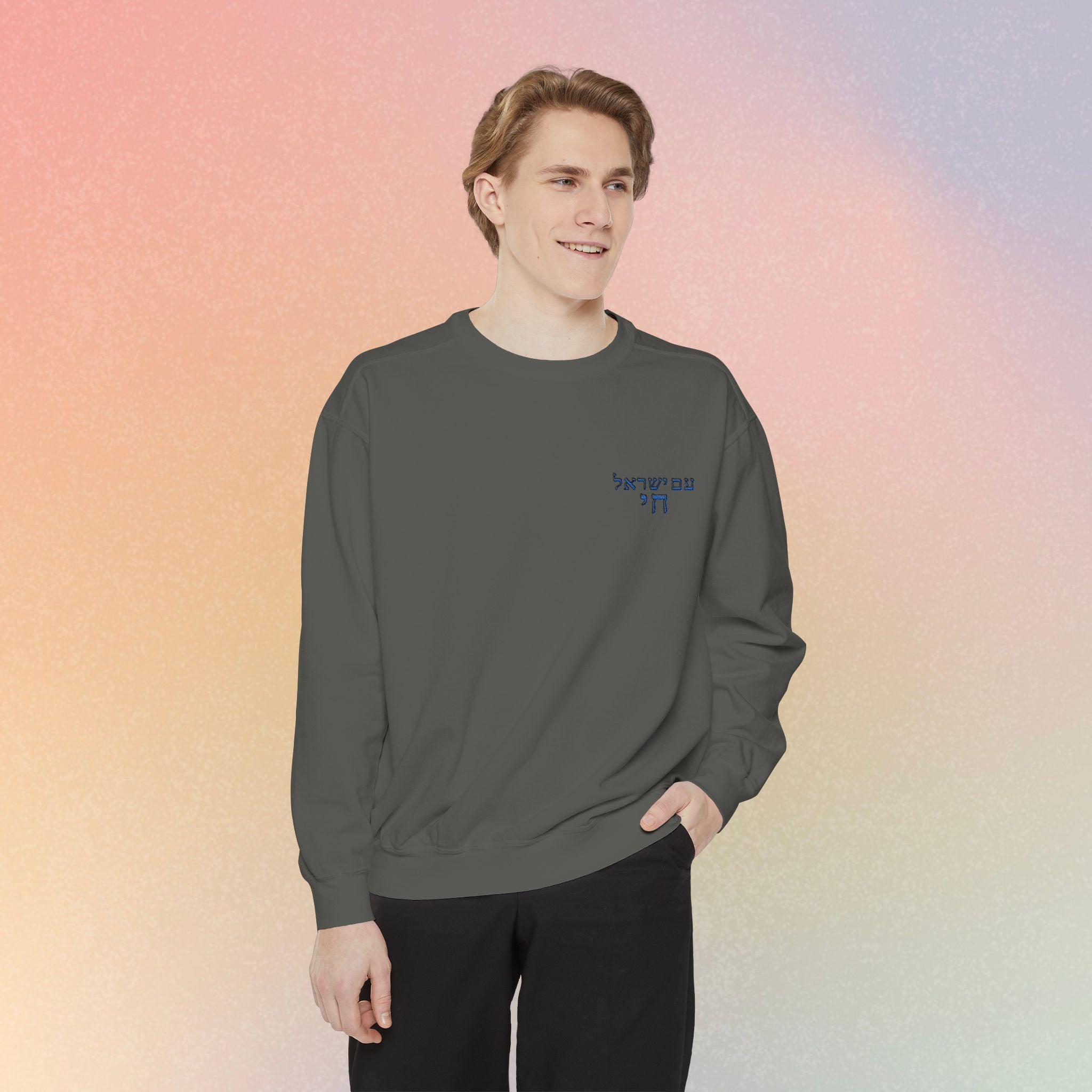 Am Yisrael Chai עם ישראל חי Hebrew Embroidered Sweatshirt