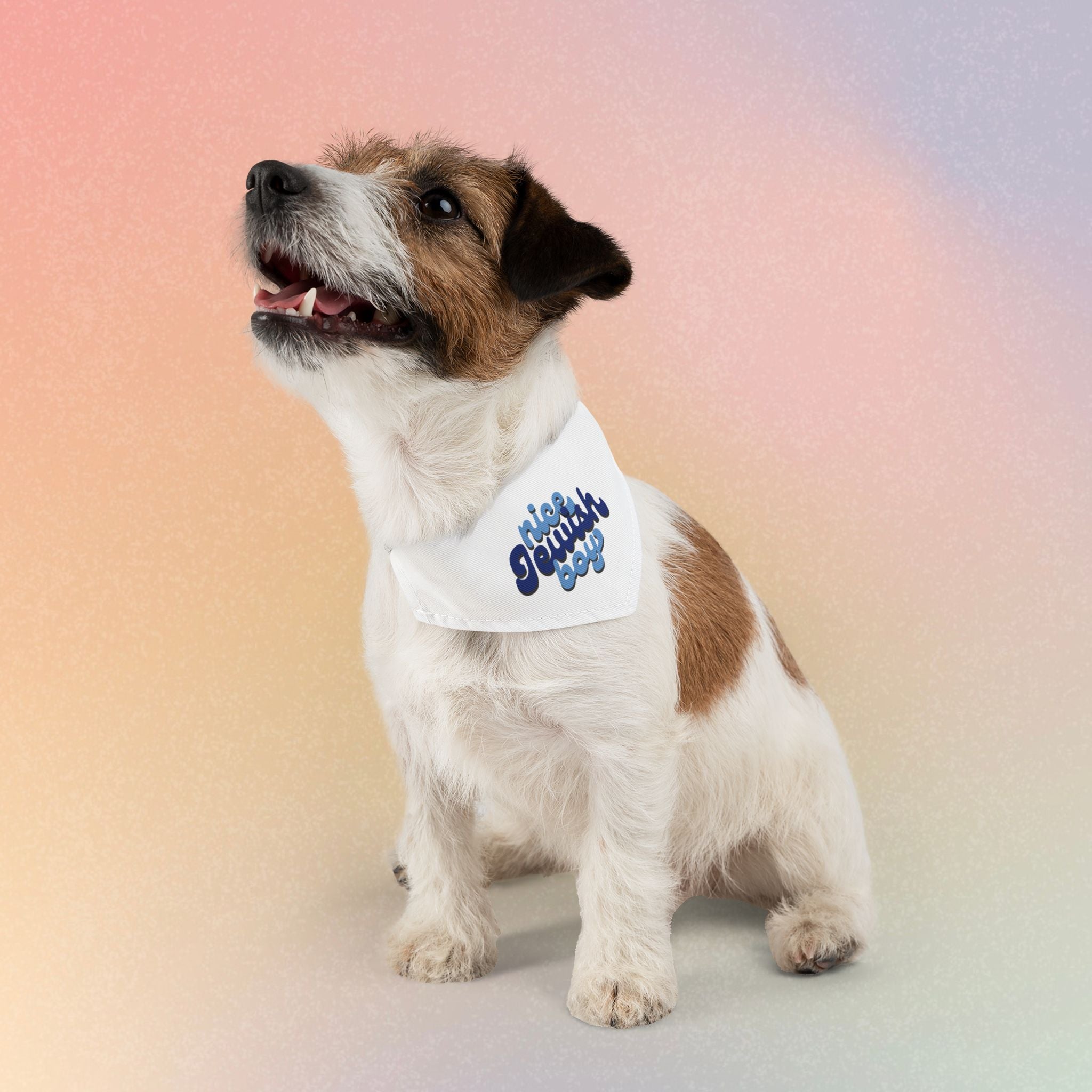 Nice Jewish Boy Pet Bandana Collar - Nice Jewish Dog/Cat