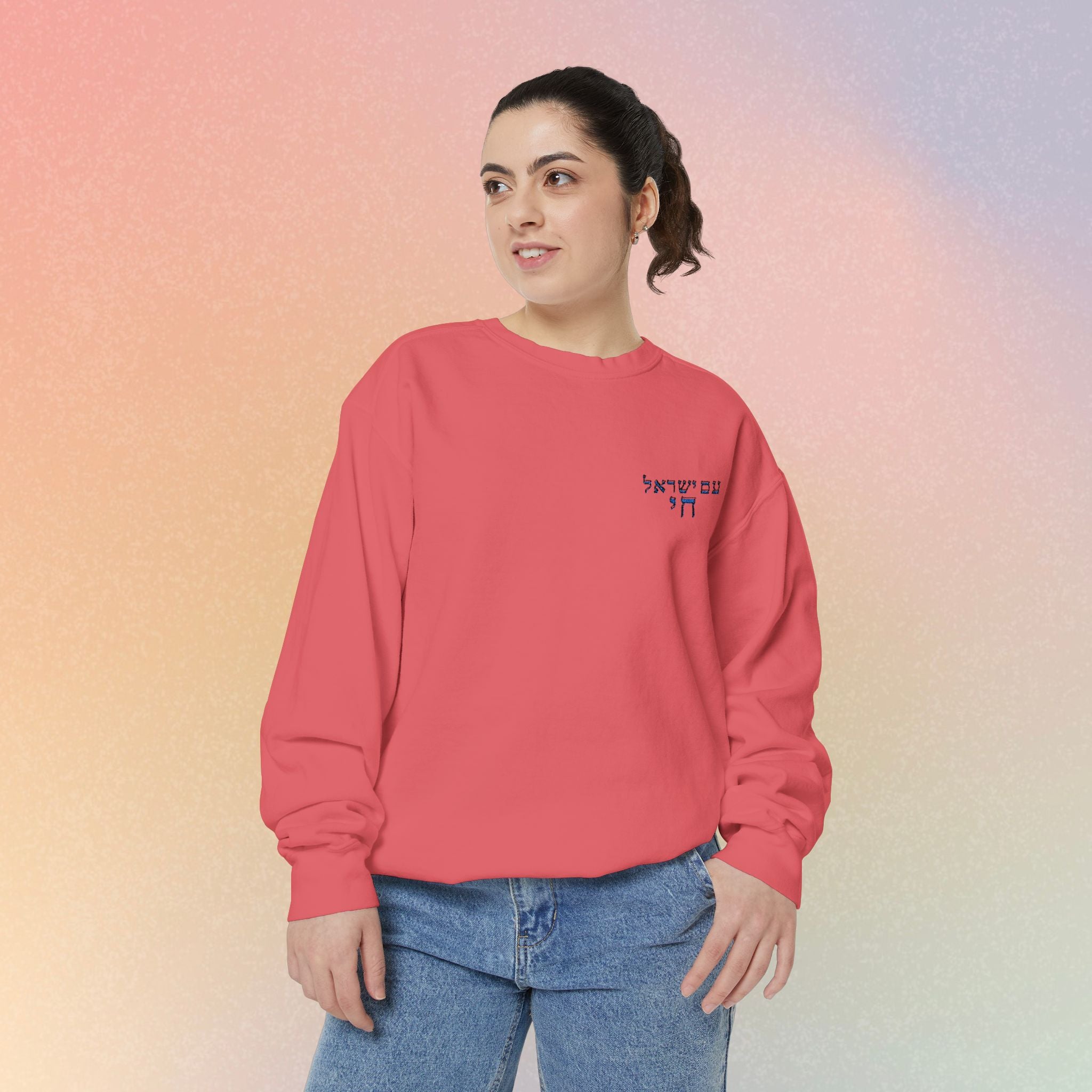 Am Yisrael Chai עם ישראל חי Hebrew Embroidered Sweatshirt