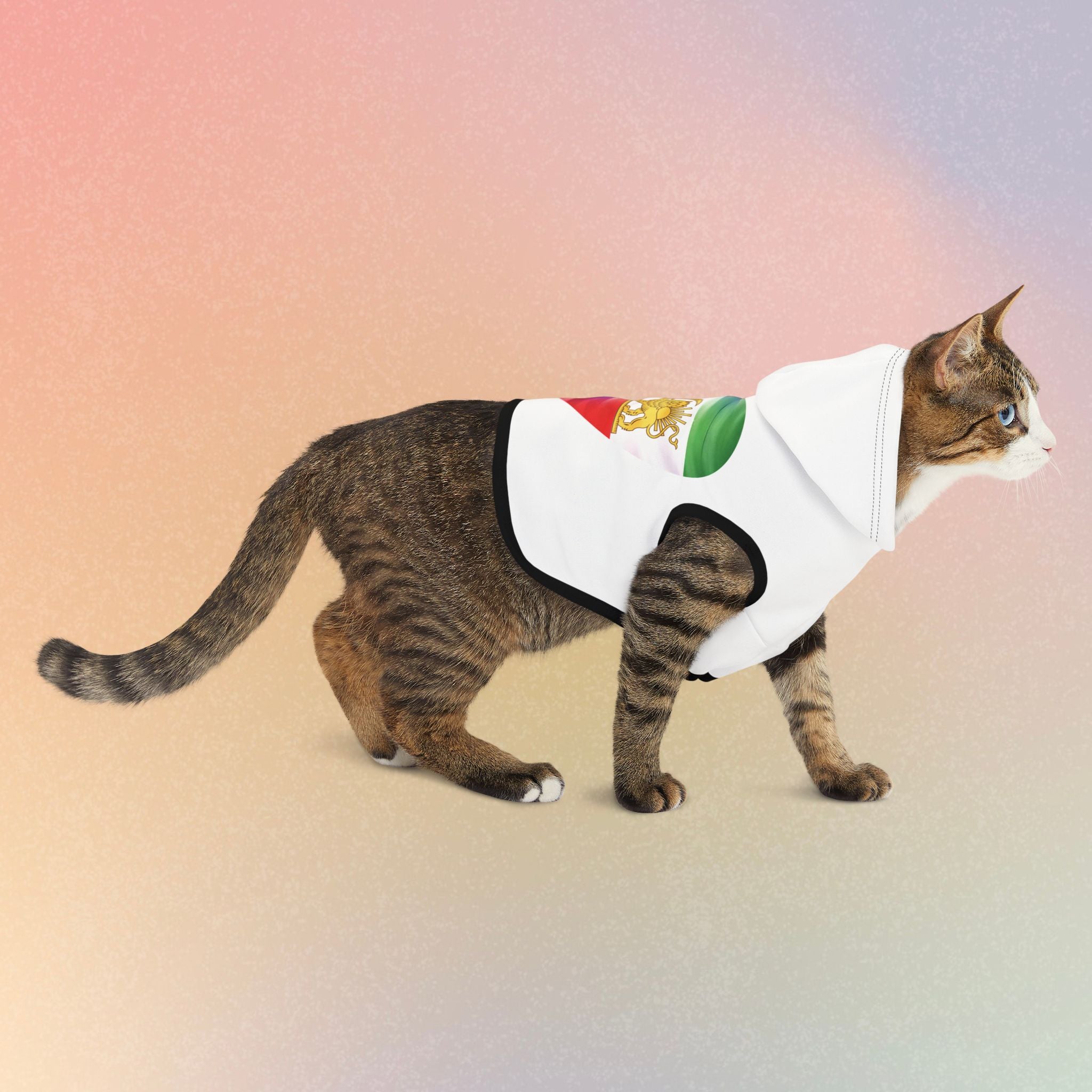 Persian Israeli Flag Flag Heart Pet Hoodie (Jewish/Persian Pride)