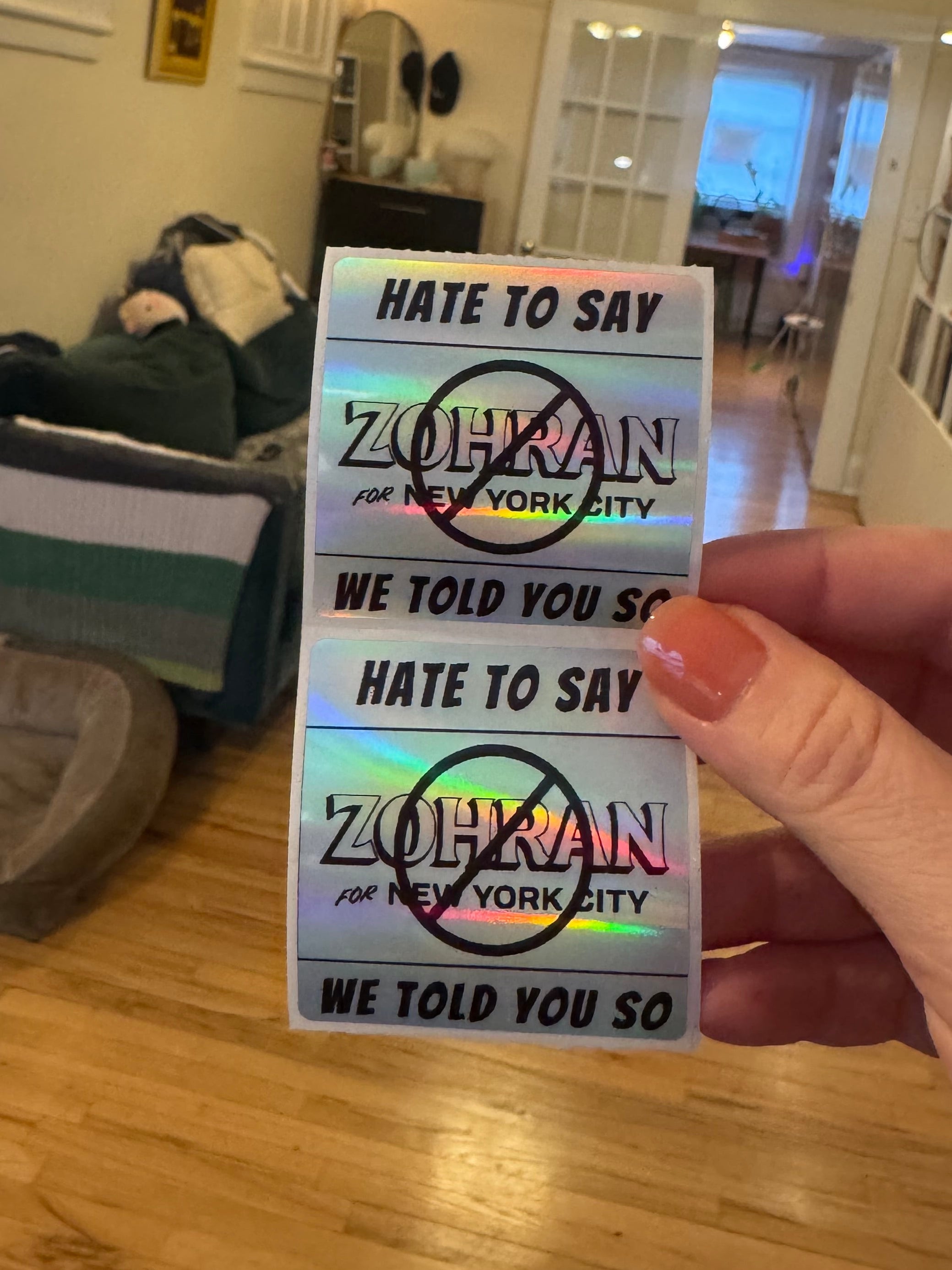 HATE TO SAY WE TOLD YOU SO (Zohran Mamdani) (100pc) Holographic & Clear Thermal Stickers