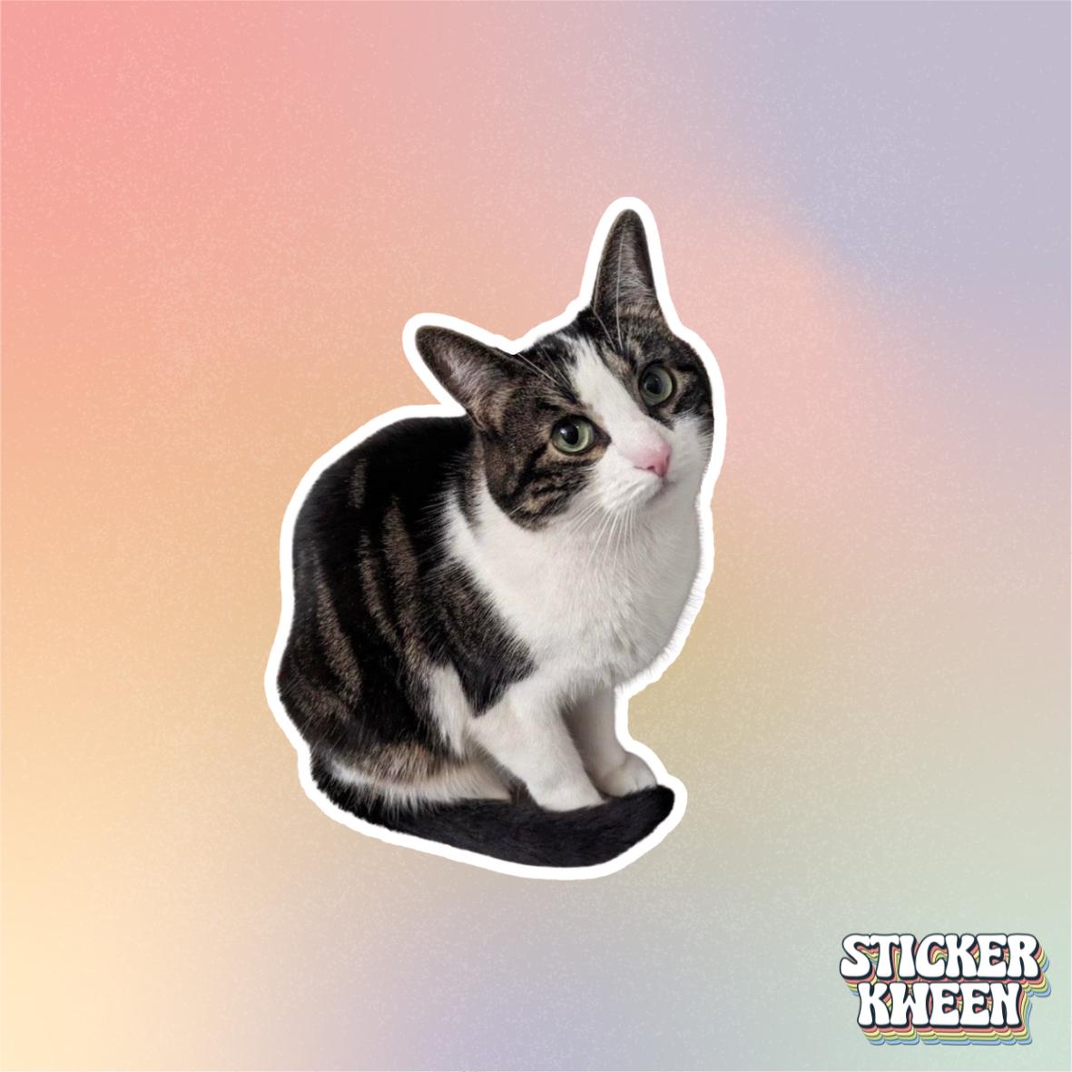 Custom Pet Stickers