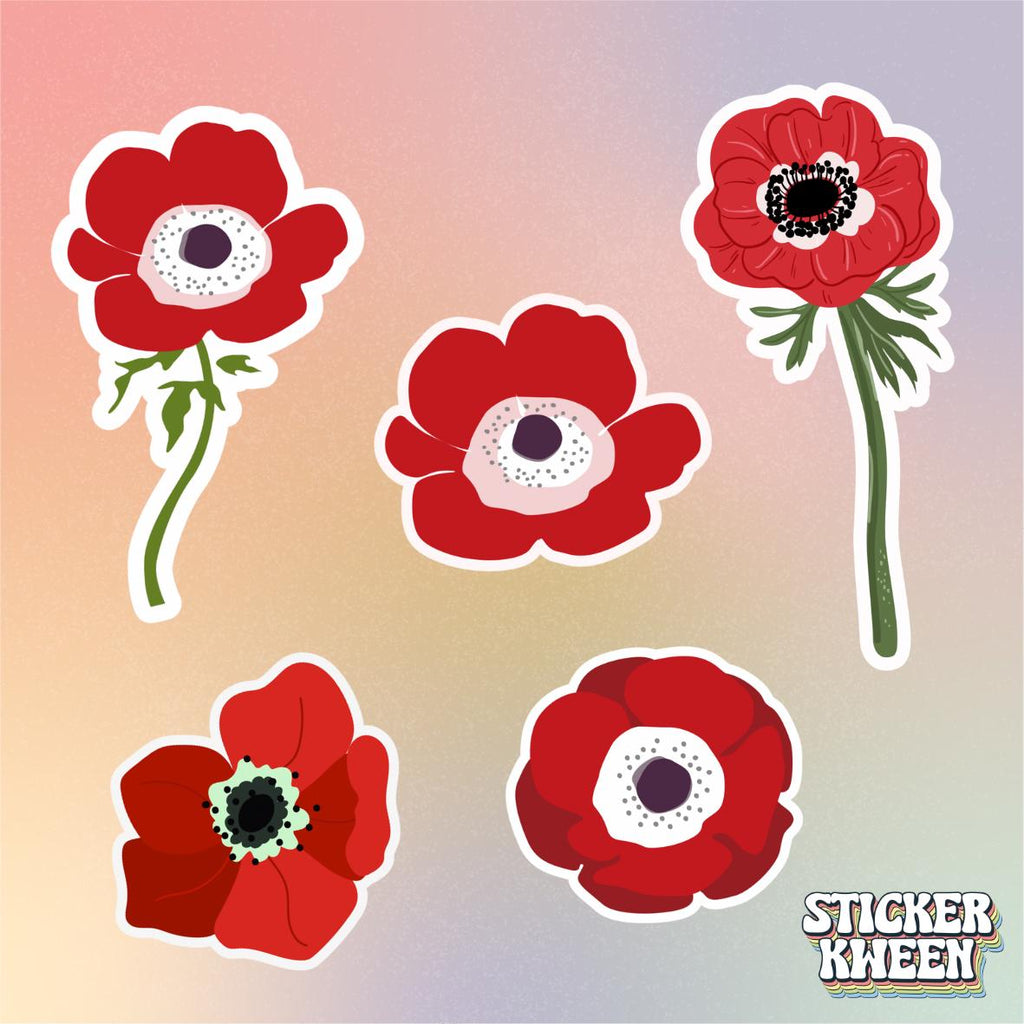 Anemone coronaria Flower Sticker 5-Pack