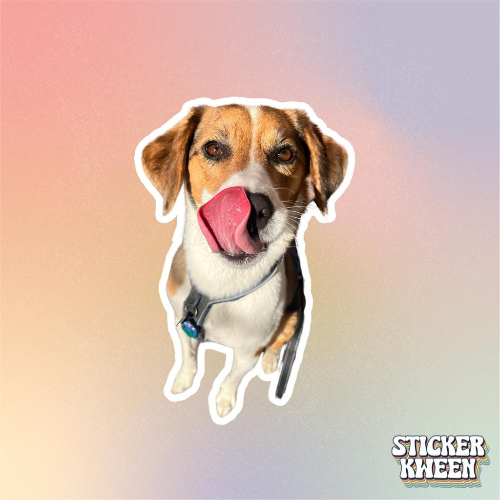 Custom Pet Stickers